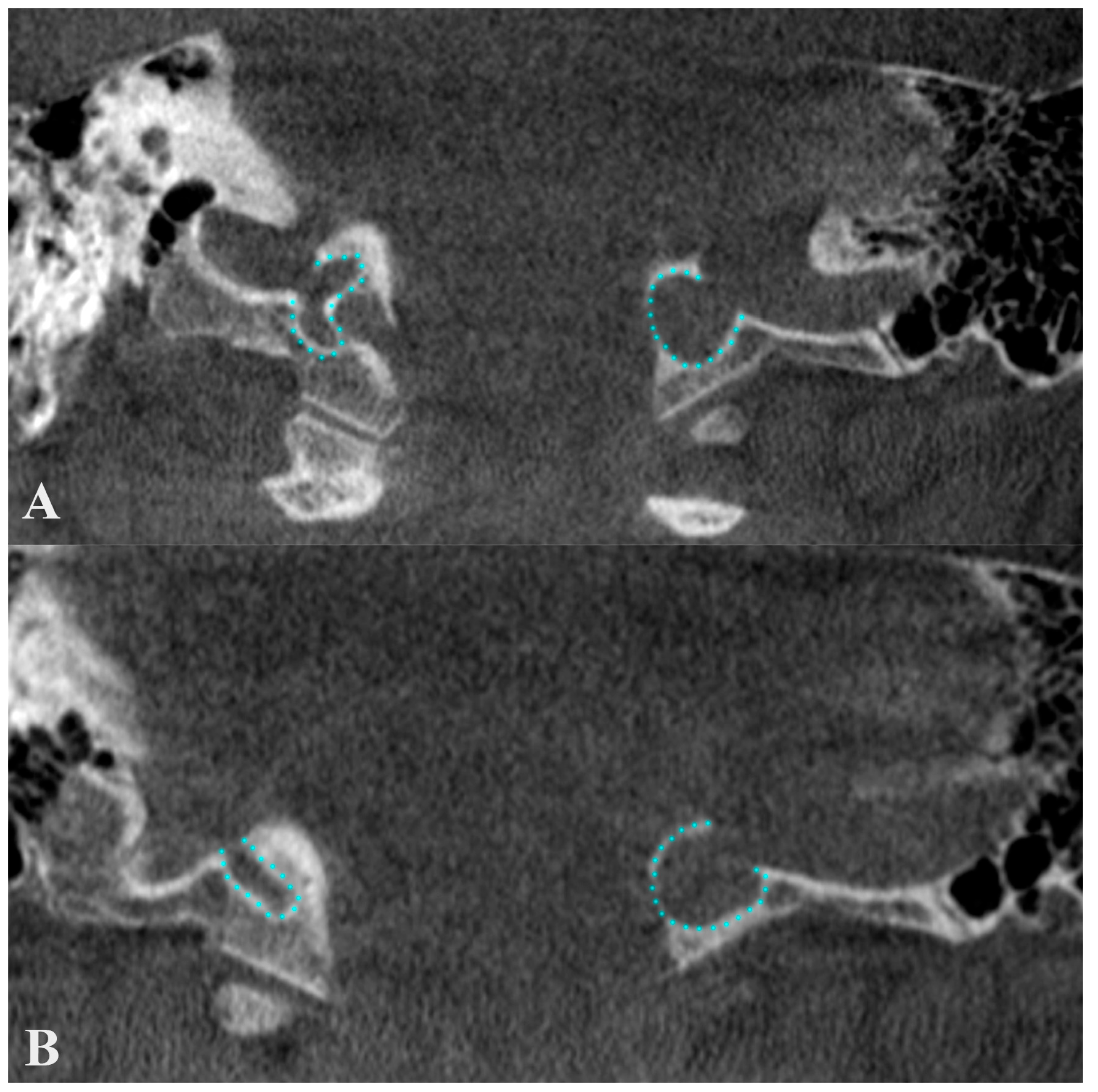 Medicina 60 01408 g007