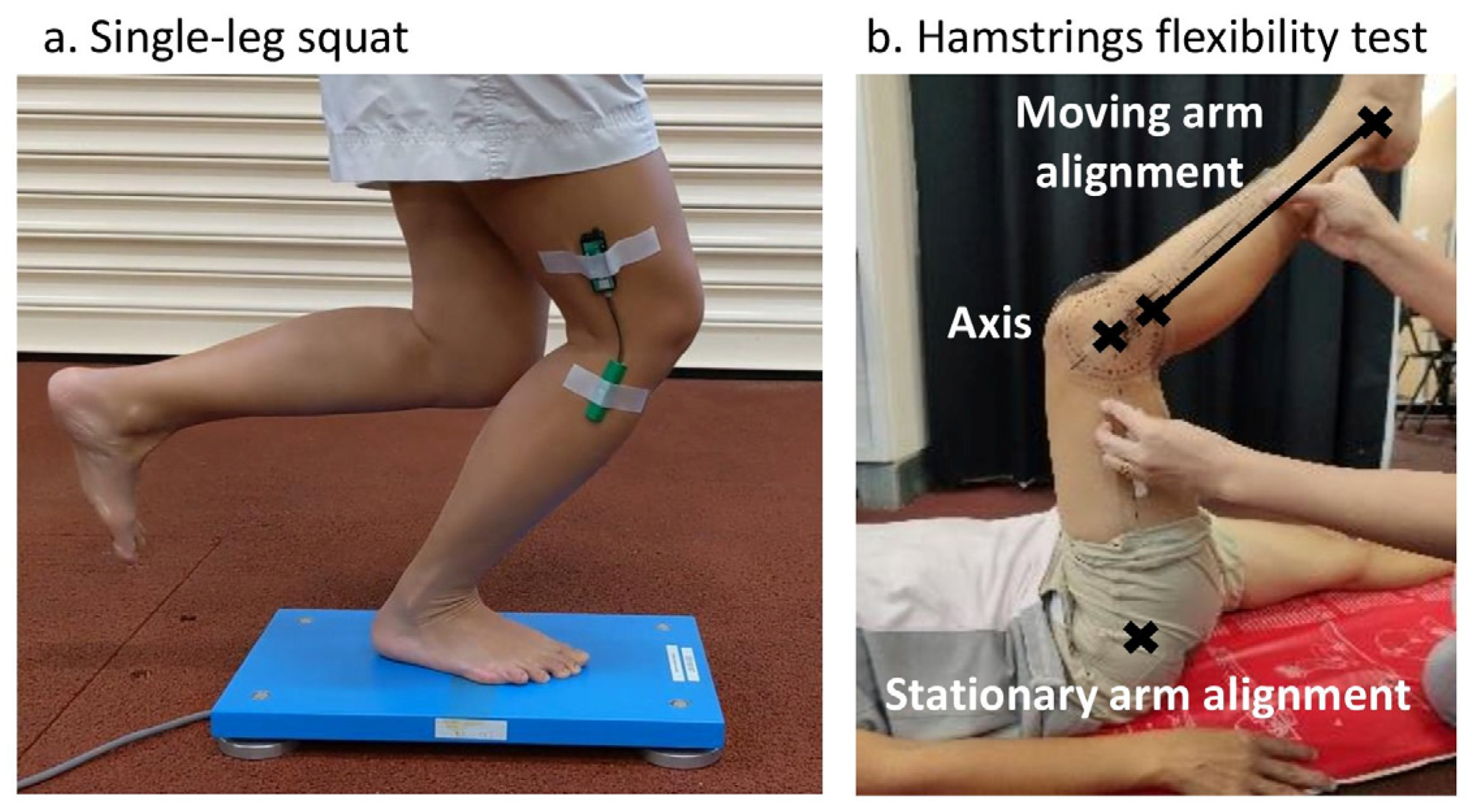 Medicina 60 01428 g001