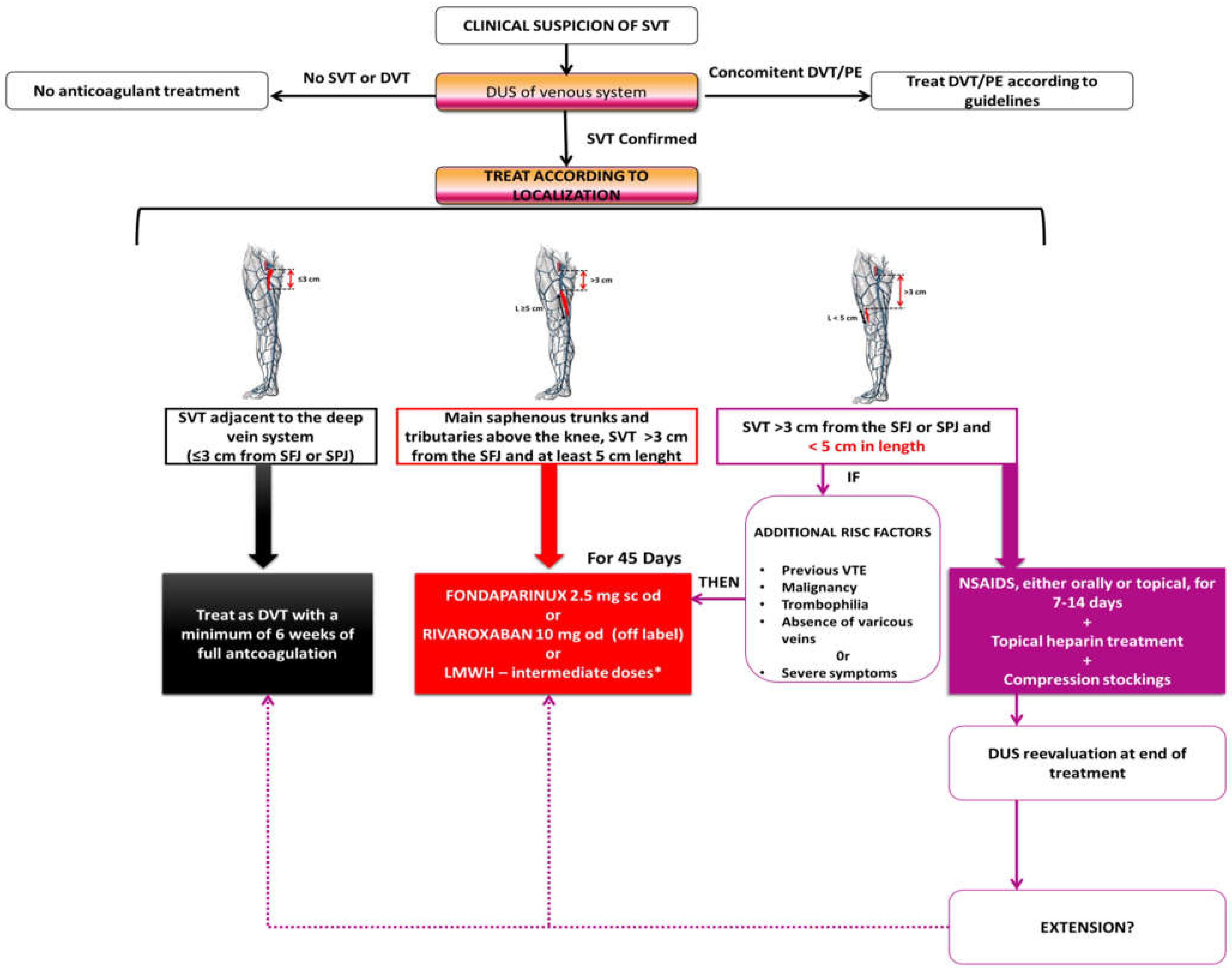 Medicina 60 01466 g001