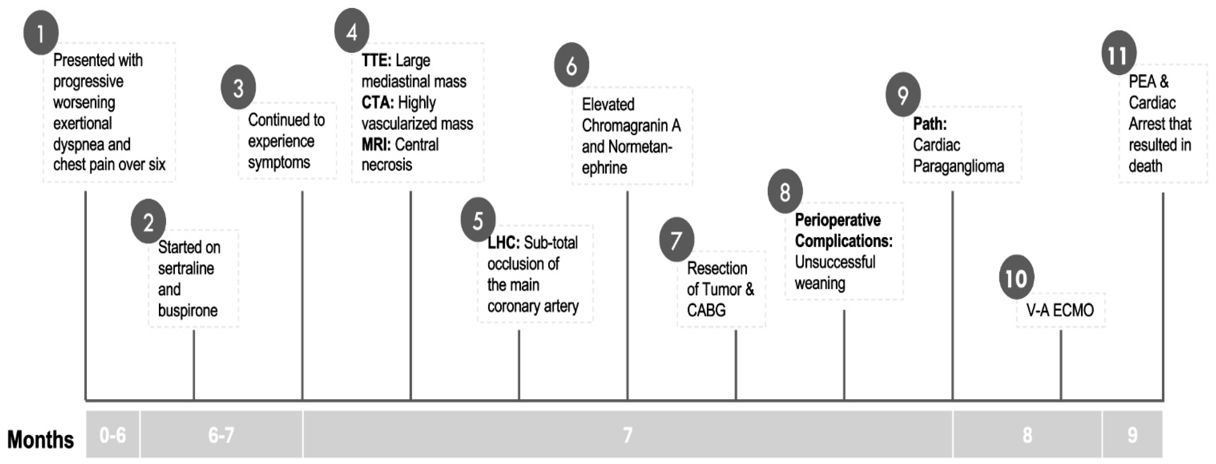 Medicina 60 01495 g003