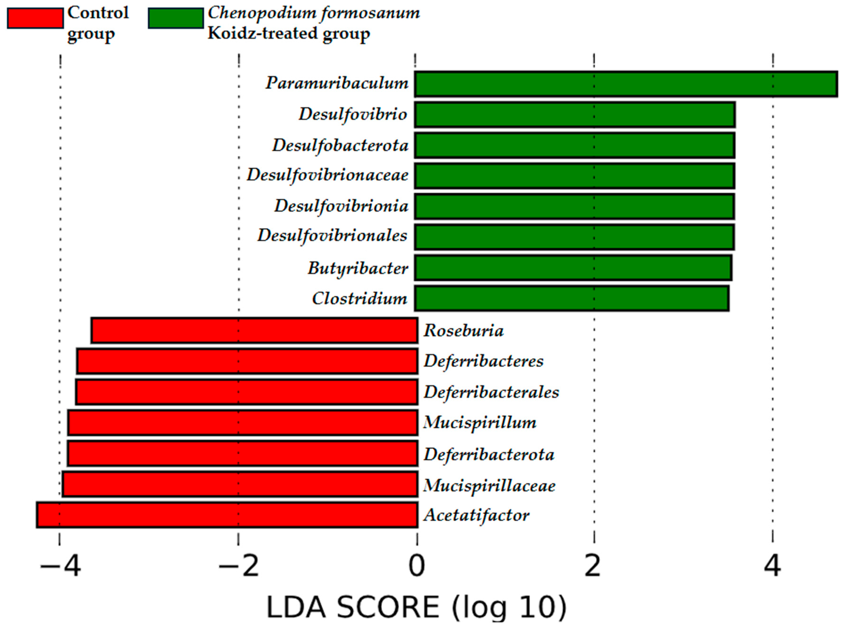 Medicina 60 01545 g007