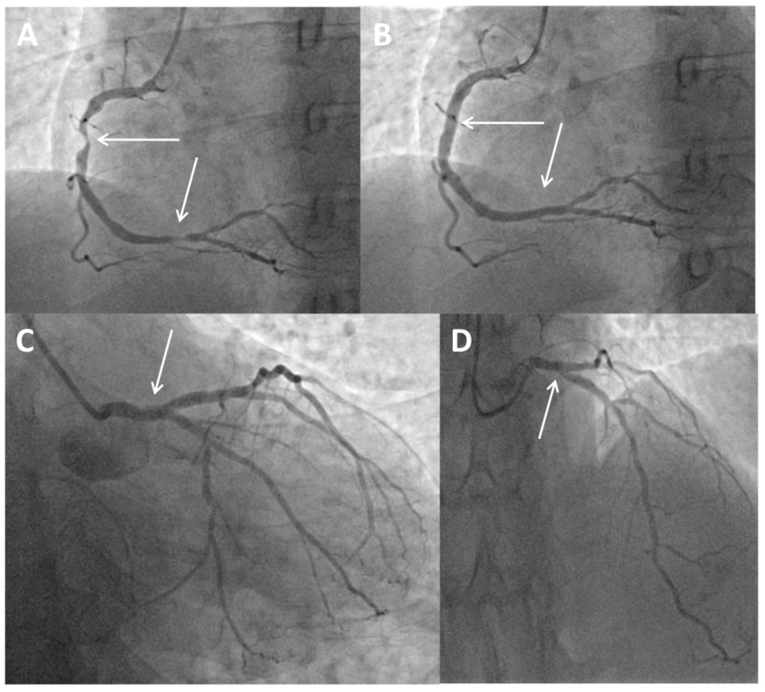 Medicina 60 01563 g001