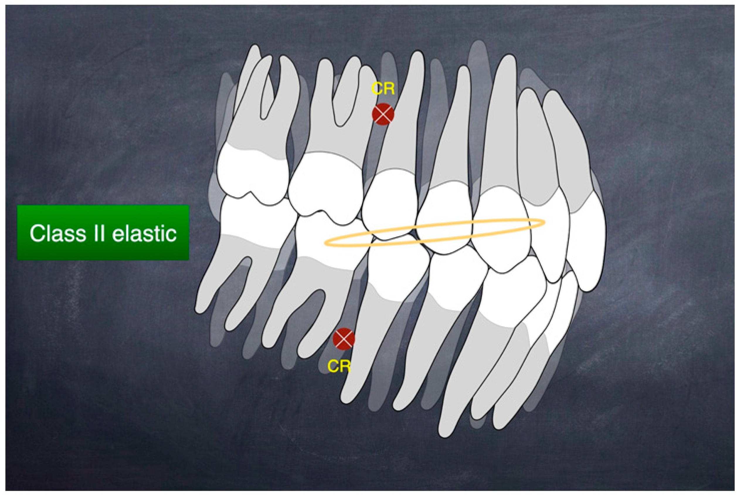 Medicina 60 01588 g003