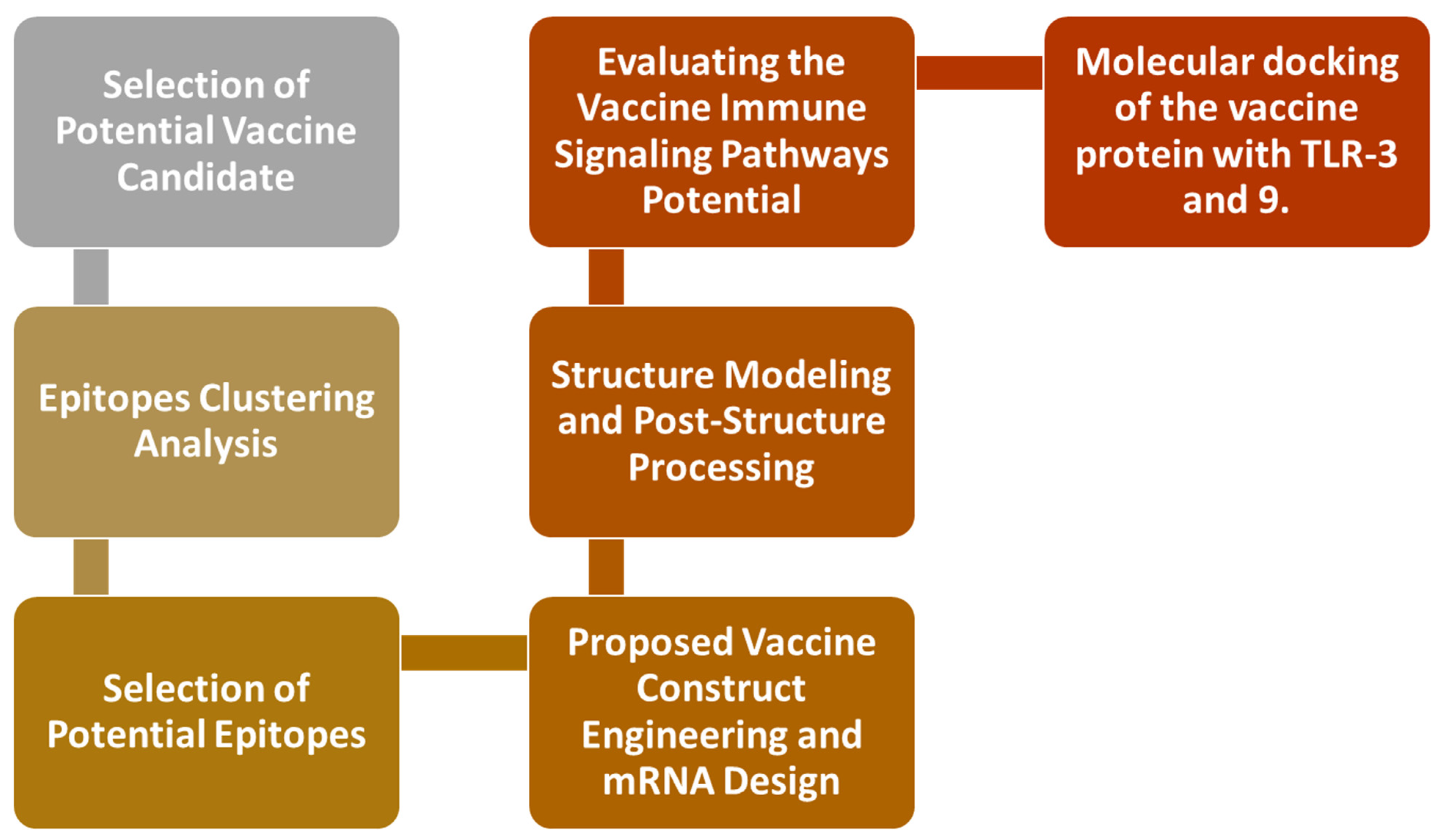 Medicina 60 01632 g001