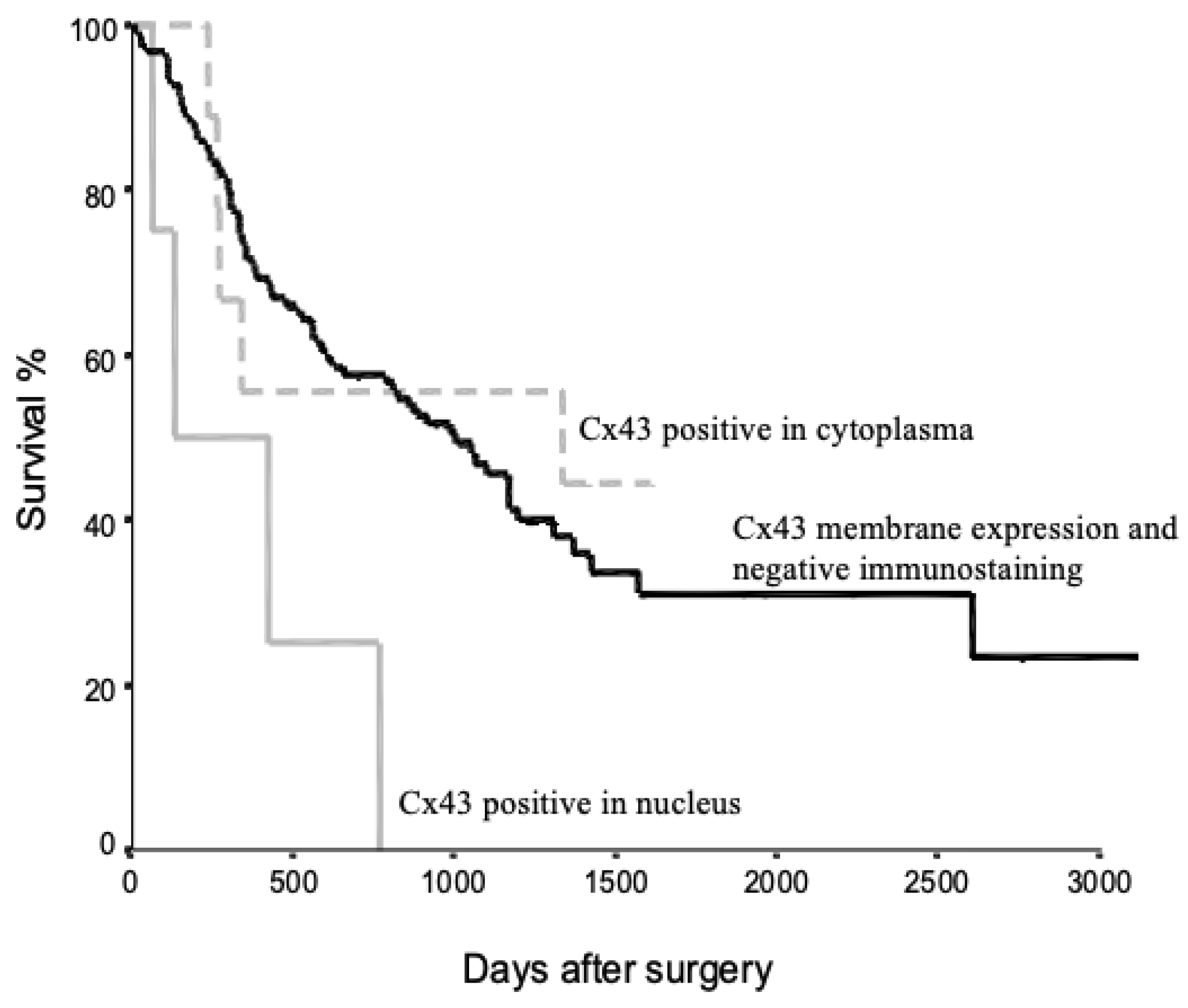 Medicina 60 01641 g003 Medicina 60 01641 g003