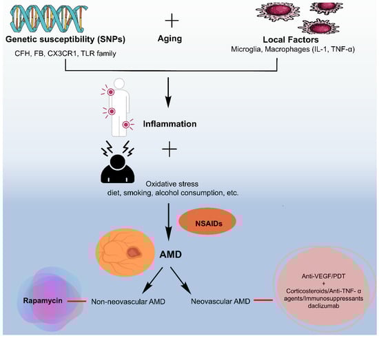 Medicina 60 01647 g004