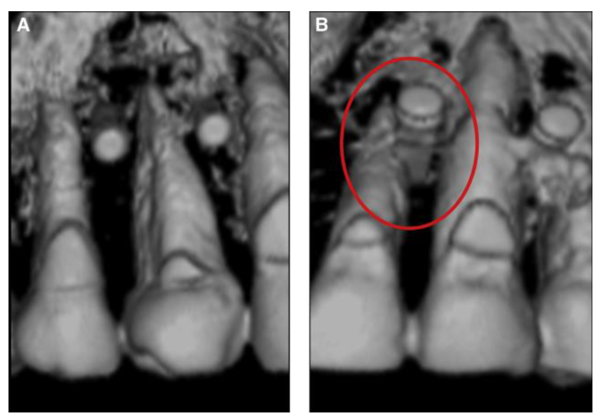 Medicina 60 01660 g001