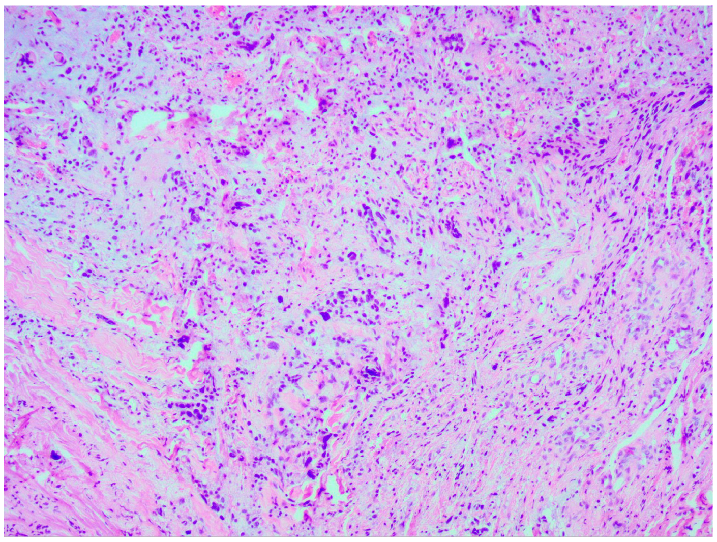 Medicina 60 01687 g007