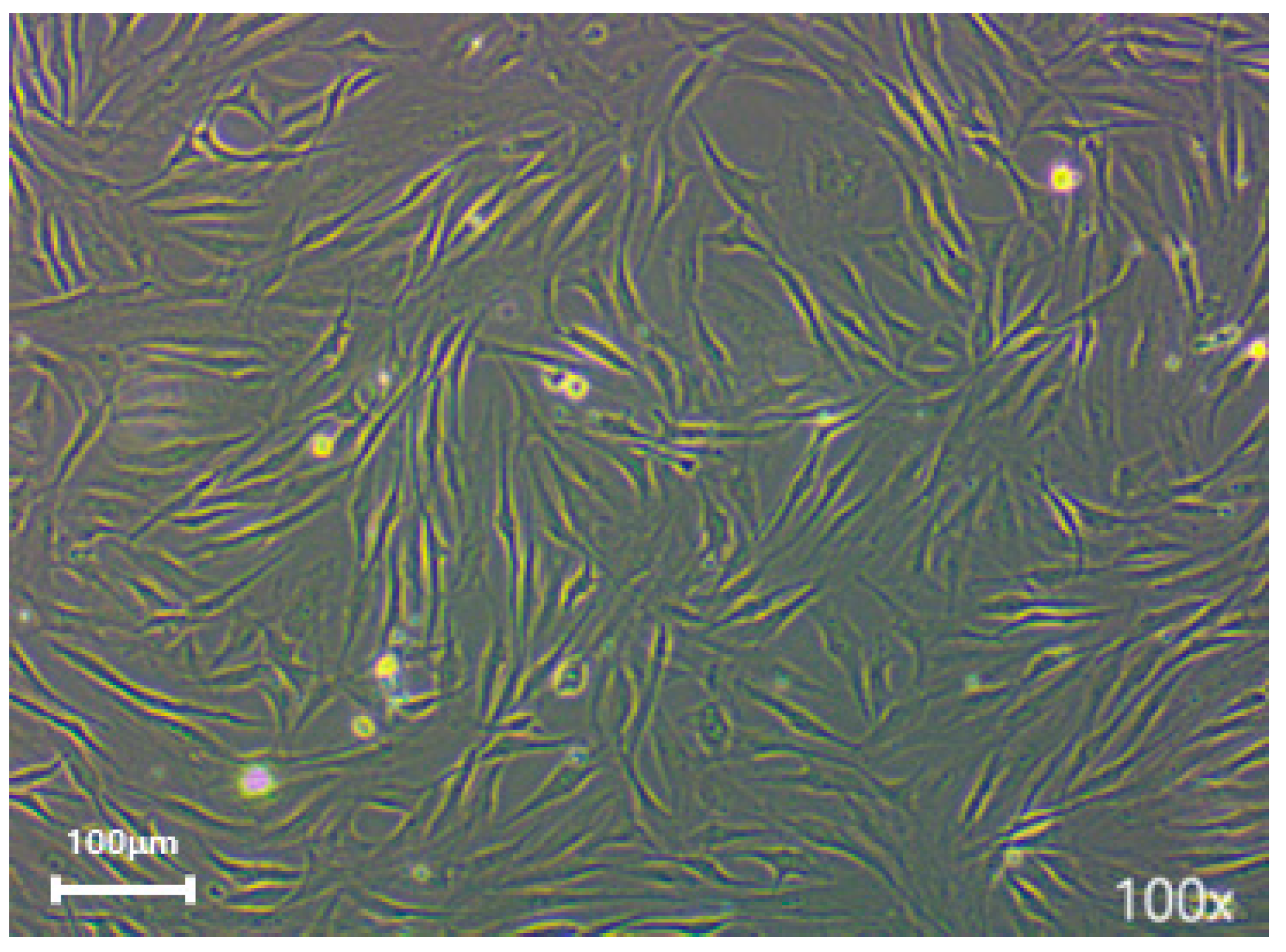 Medicina 60 01741 g001