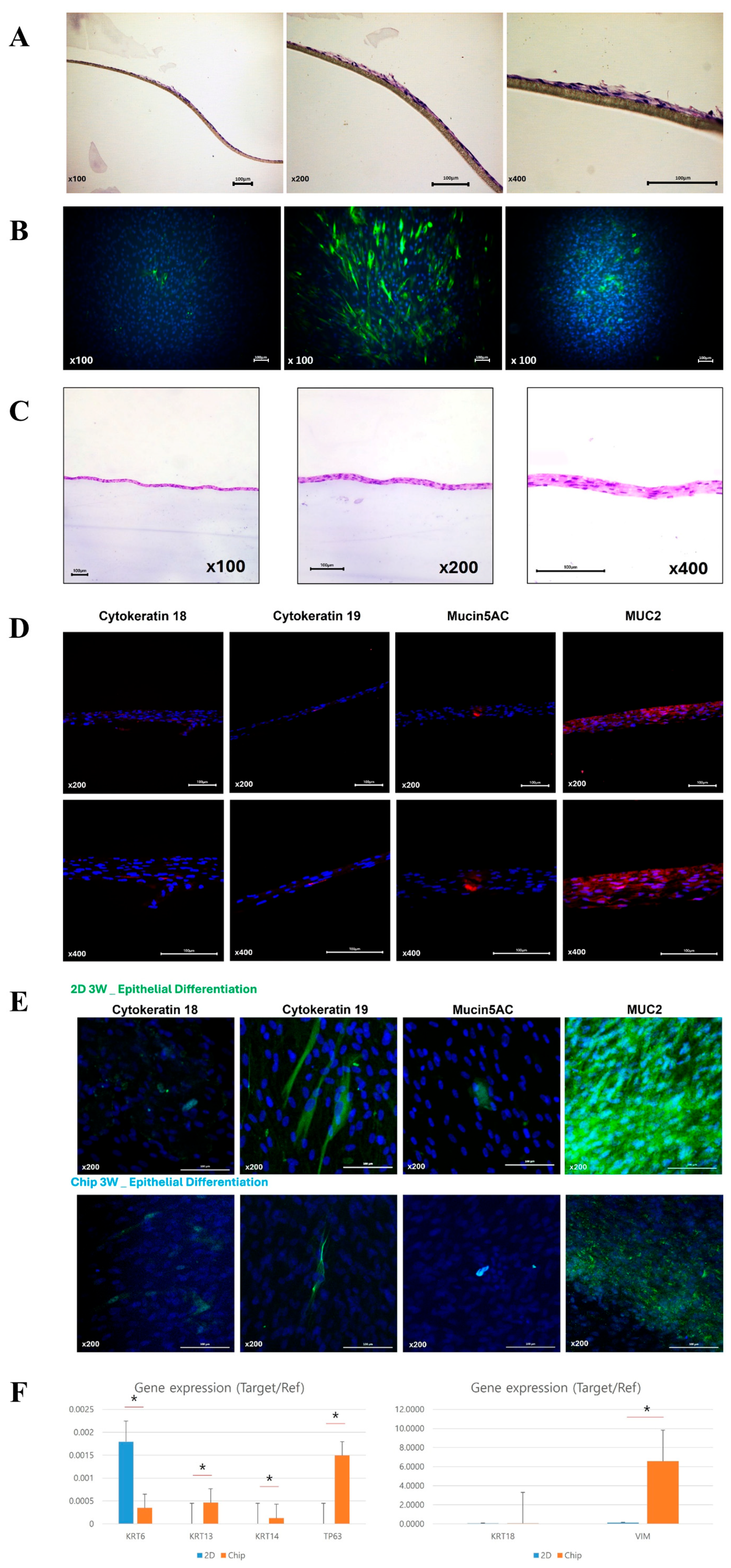 Medicina 60 01741 g006