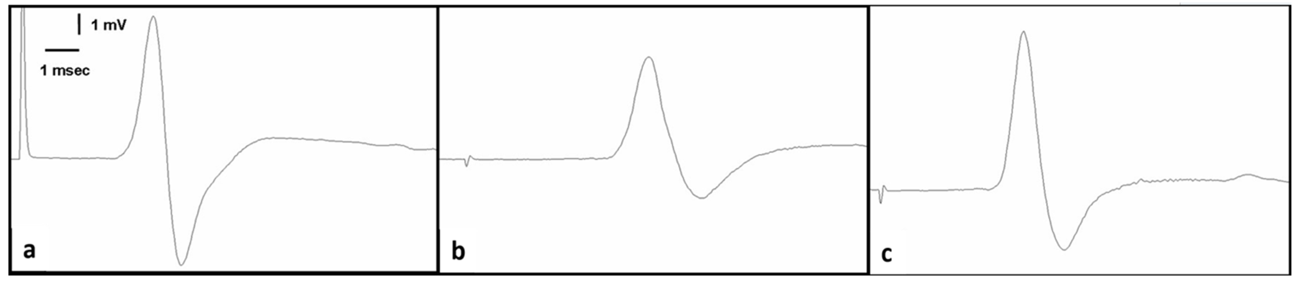 Medicina 60 01791 g002