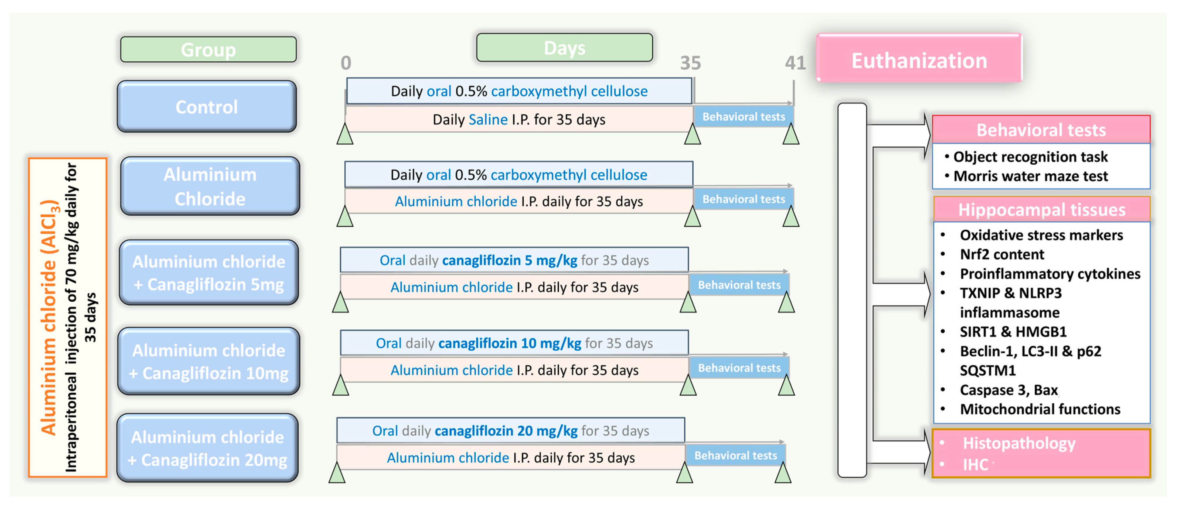 Medicina 60 01805 g001
