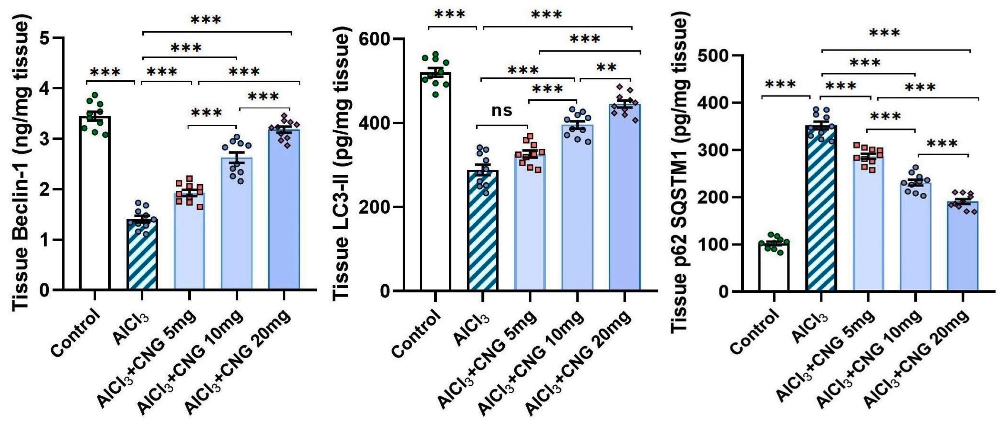 Medicina 60 01805 g008