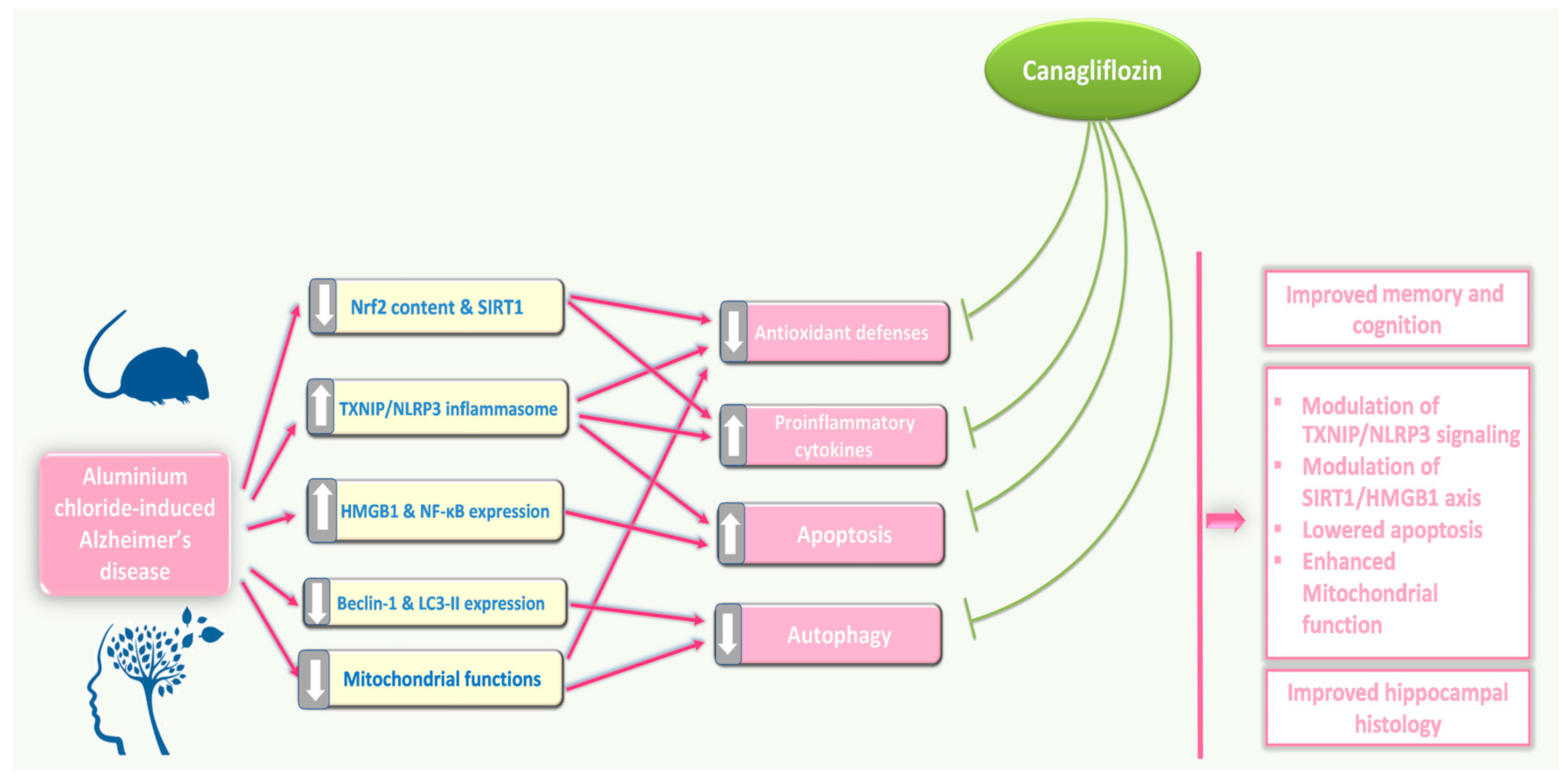 Medicina 60 01805 g015