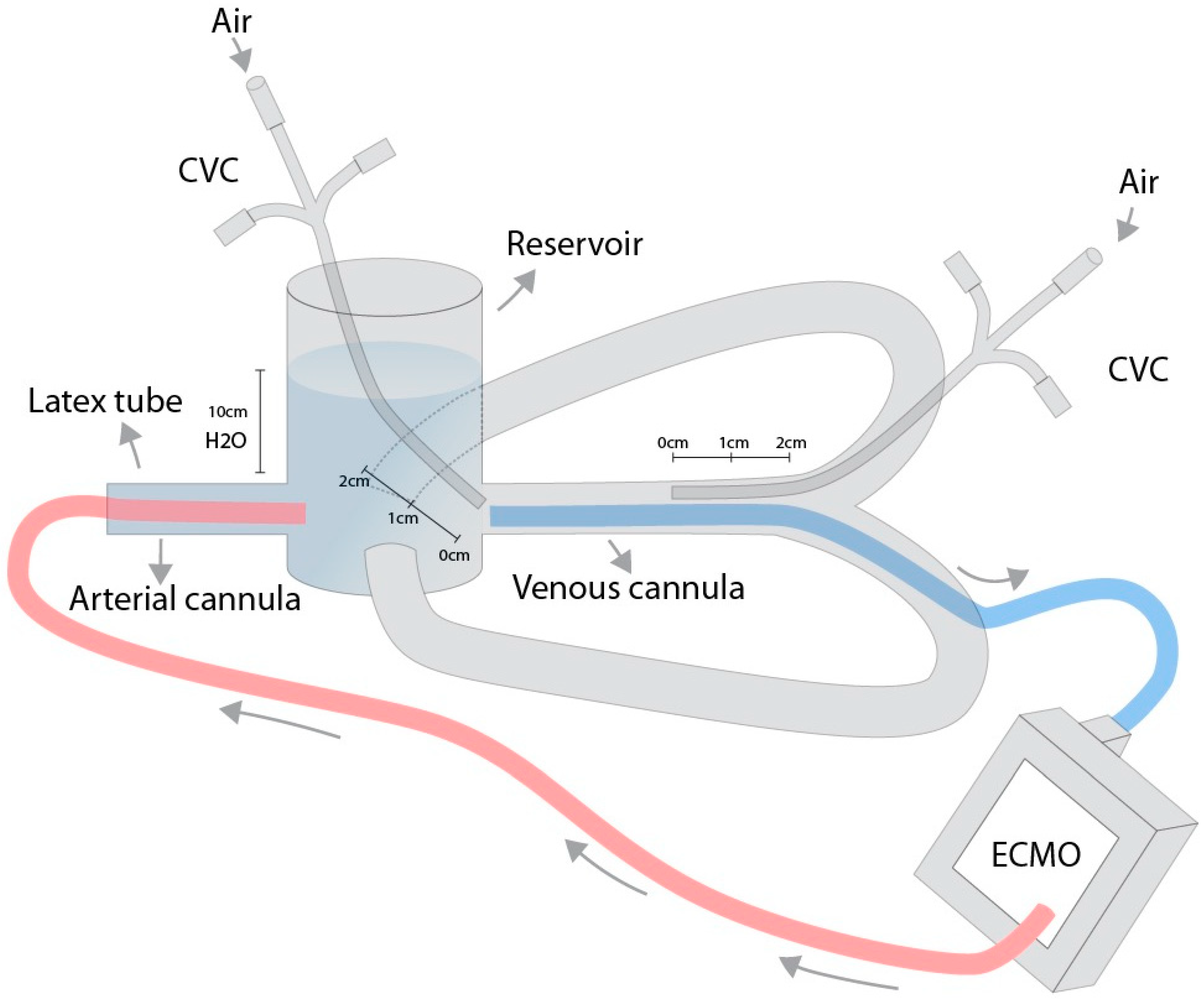Medicina 60 01883 g001