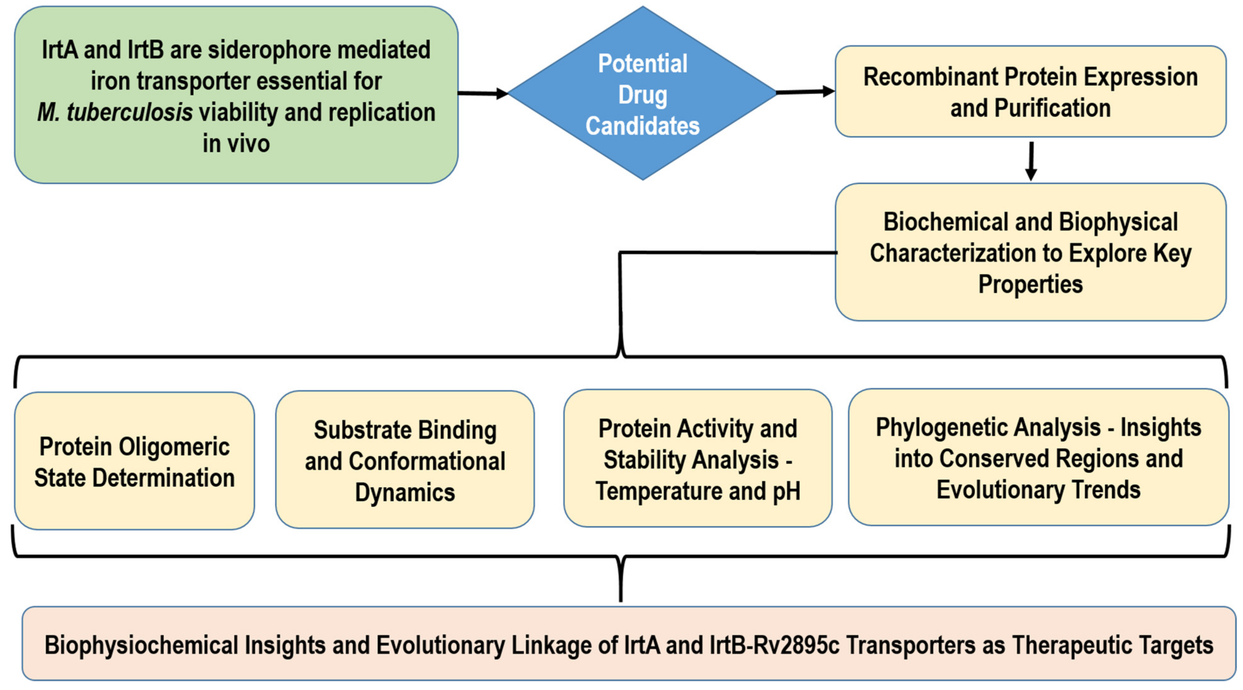 Medicina 60 01891 g001