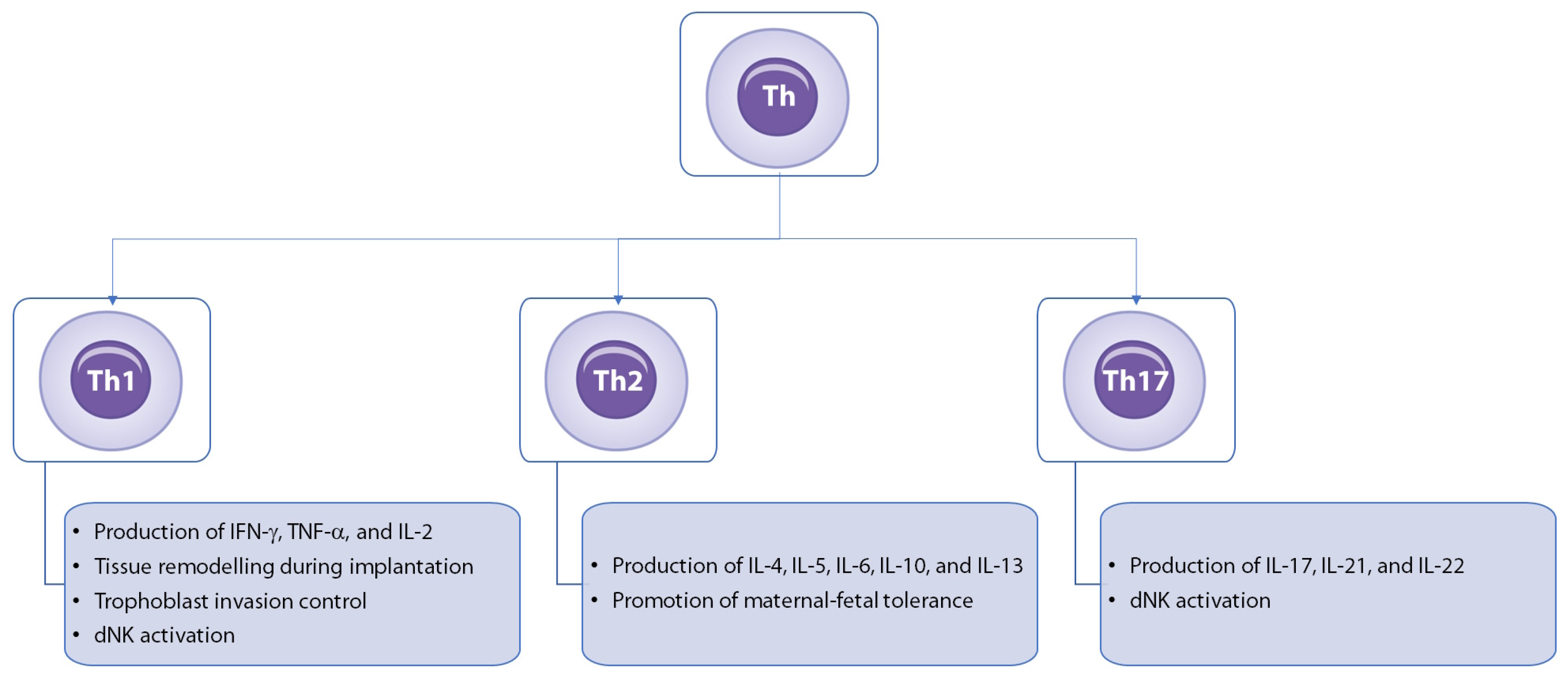 Medicina 60 01896 g003