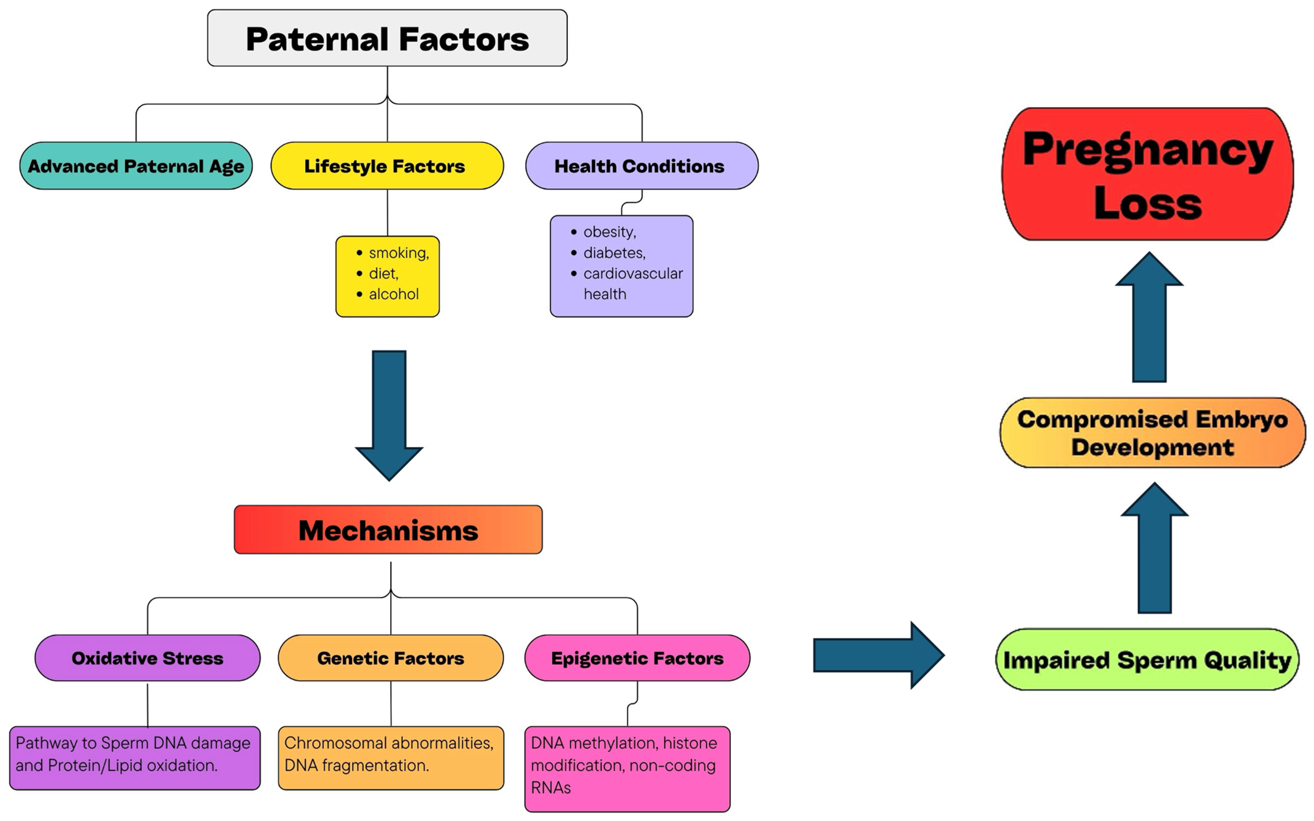 Medicina 60 01920 g001 Medicina 60 01920 g001