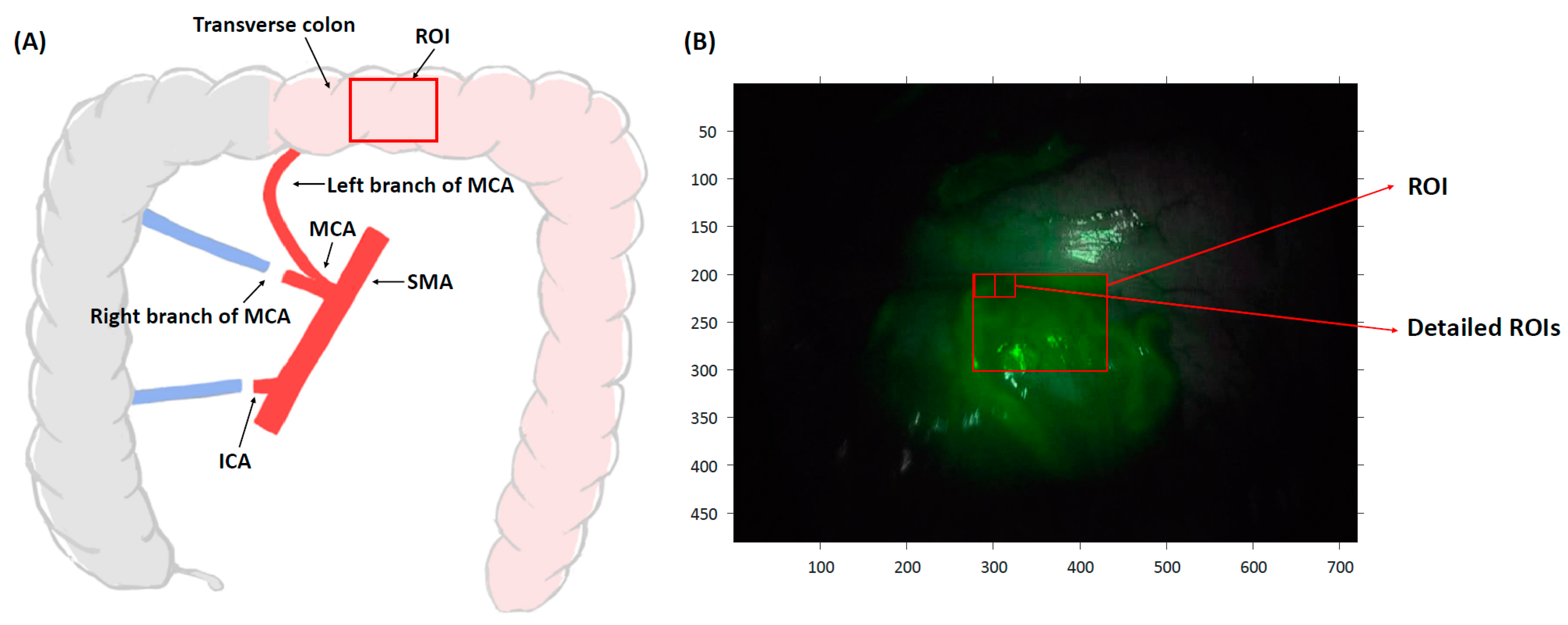 Medicina 60 01966 g001