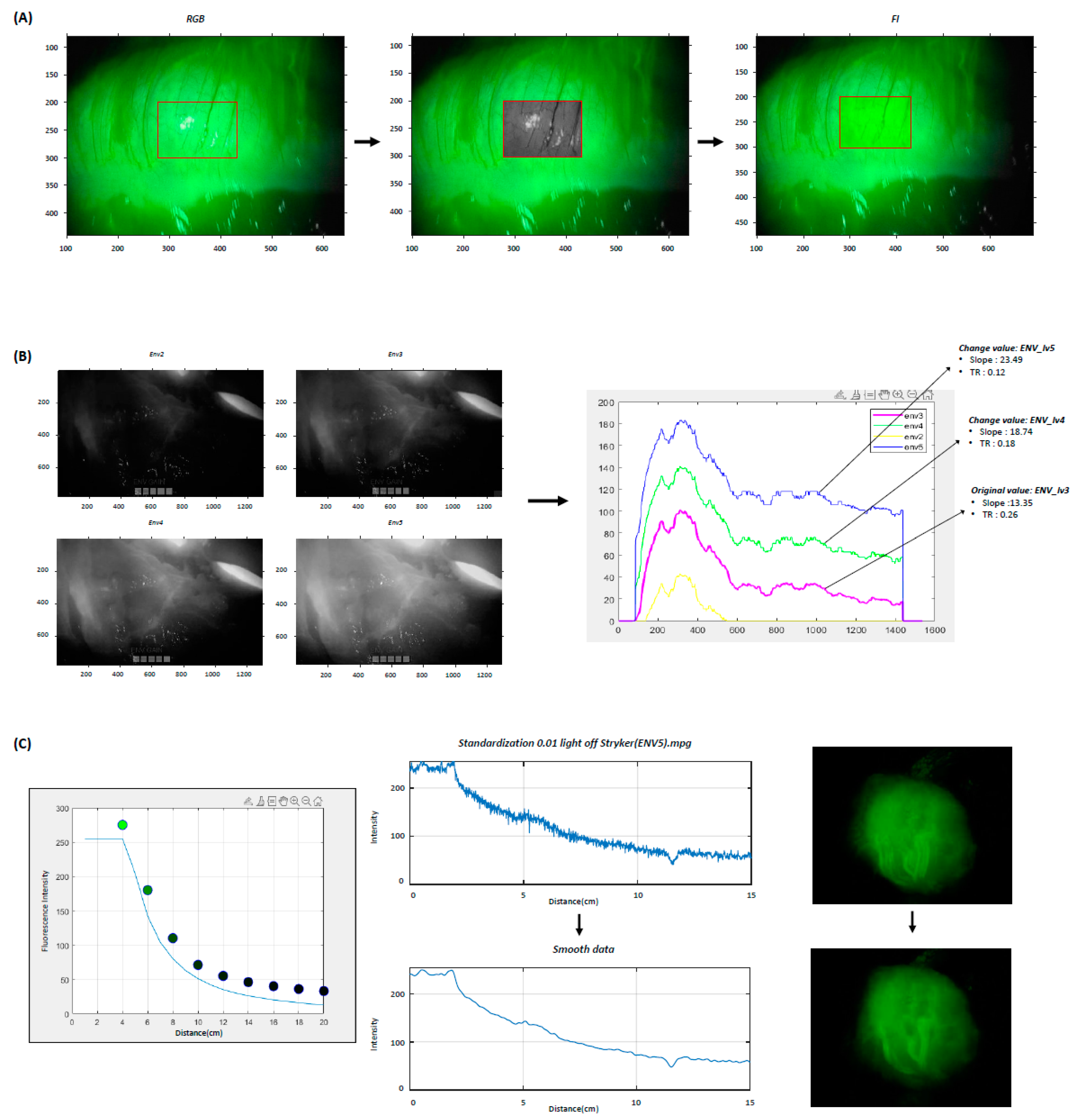 Medicina 60 01966 g002