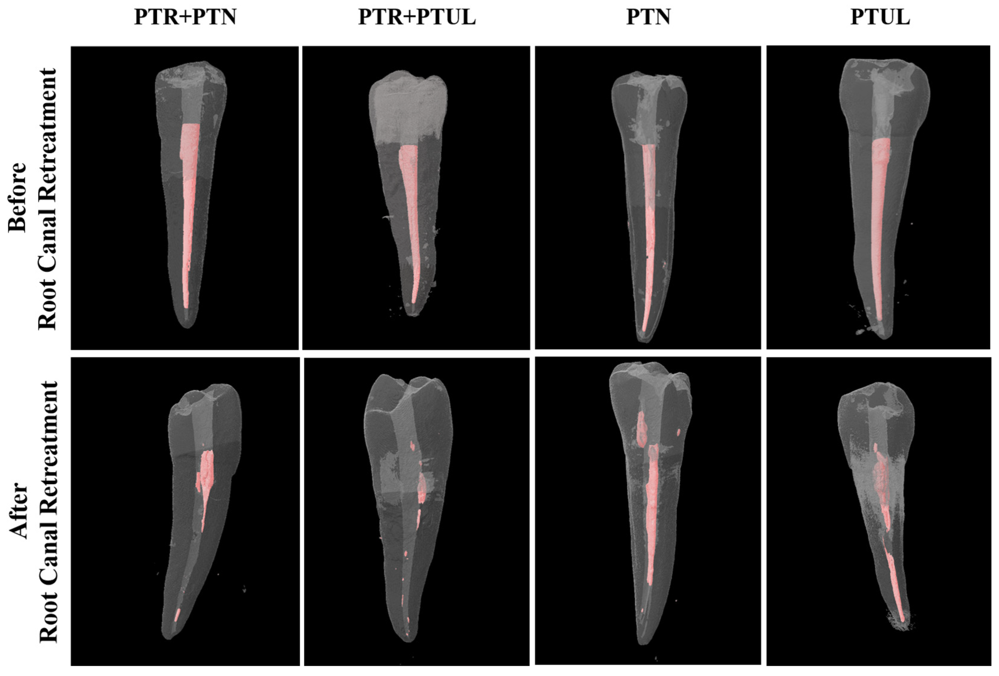 Medicina 60 01980 g002