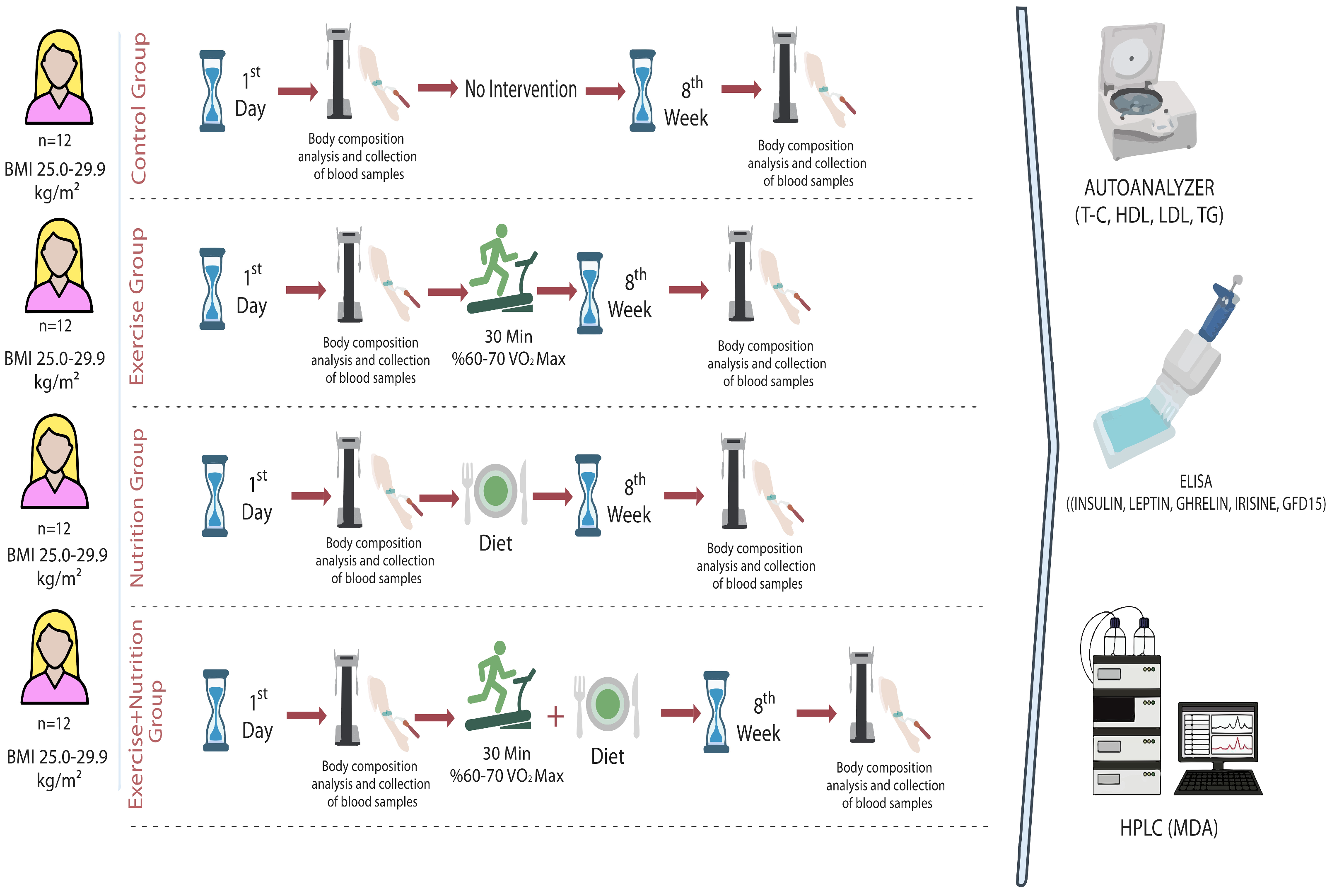 Medicina 60 02019 g001
