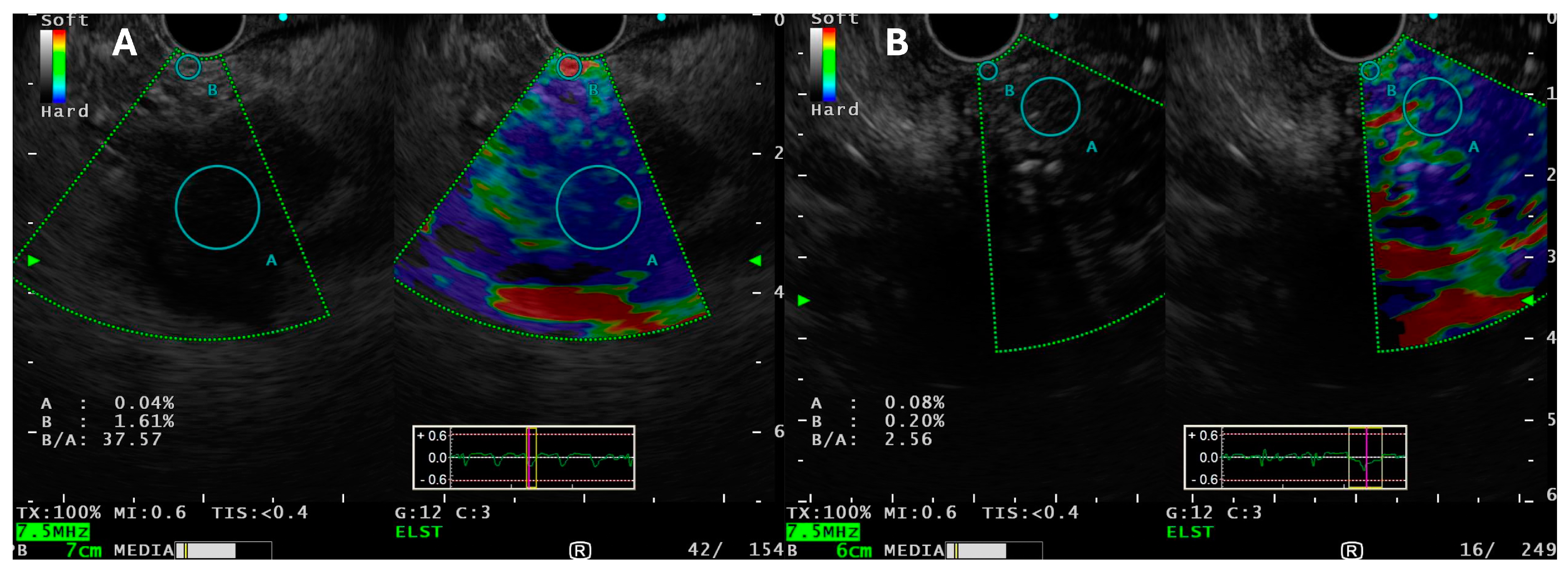 Medicina 60 02021 g003 Medicina 60 02021 g003