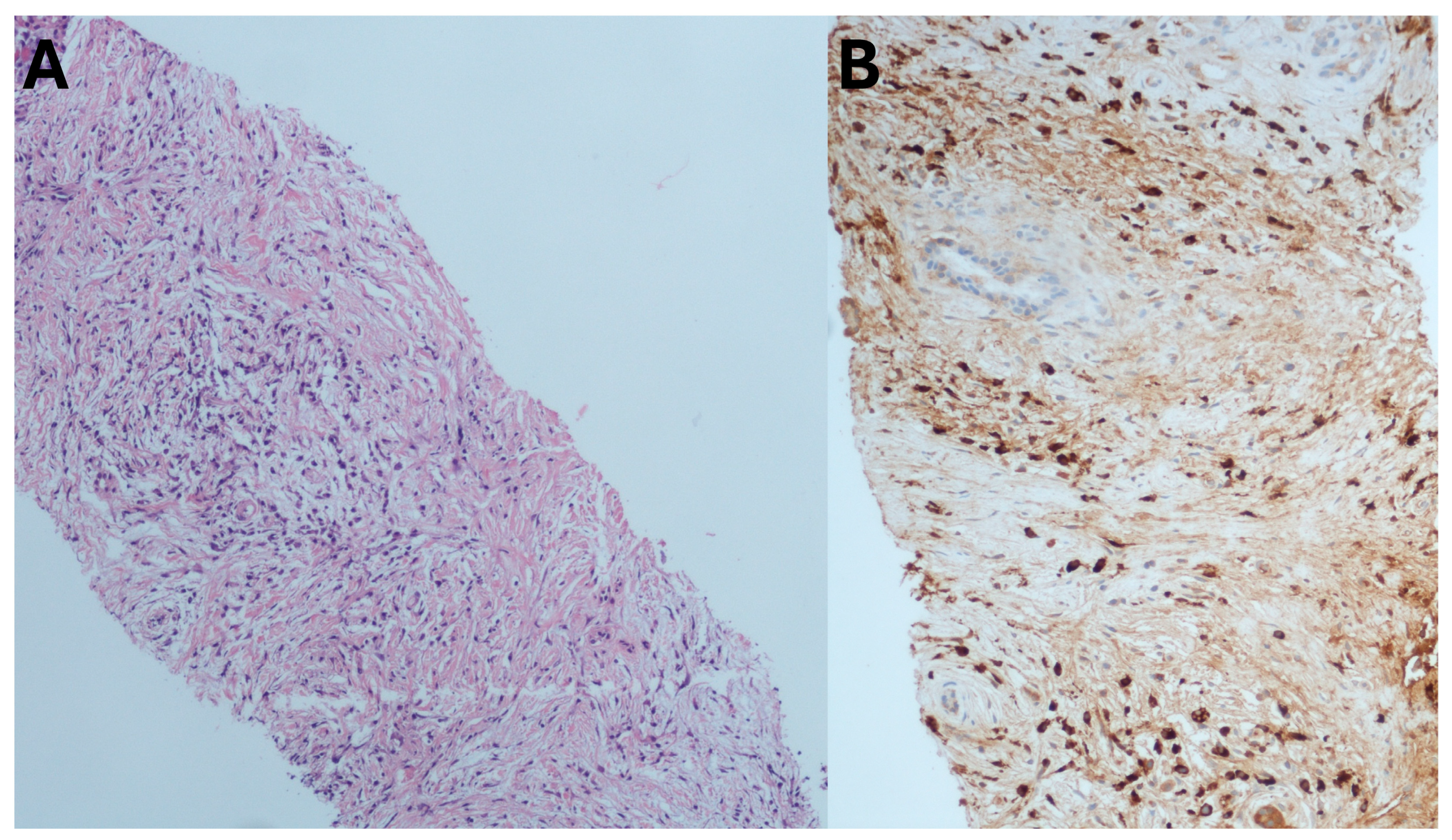 Medicina 60 02021 g007 Medicina 60 02021 g007