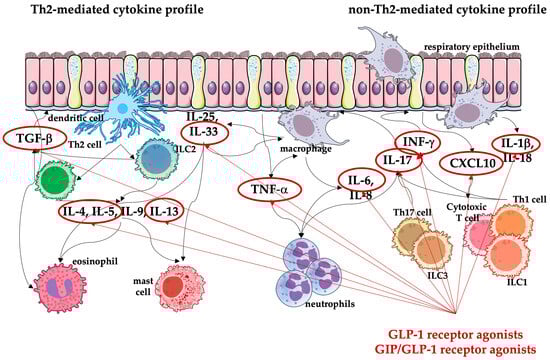 Medicina 60 02030 g002
