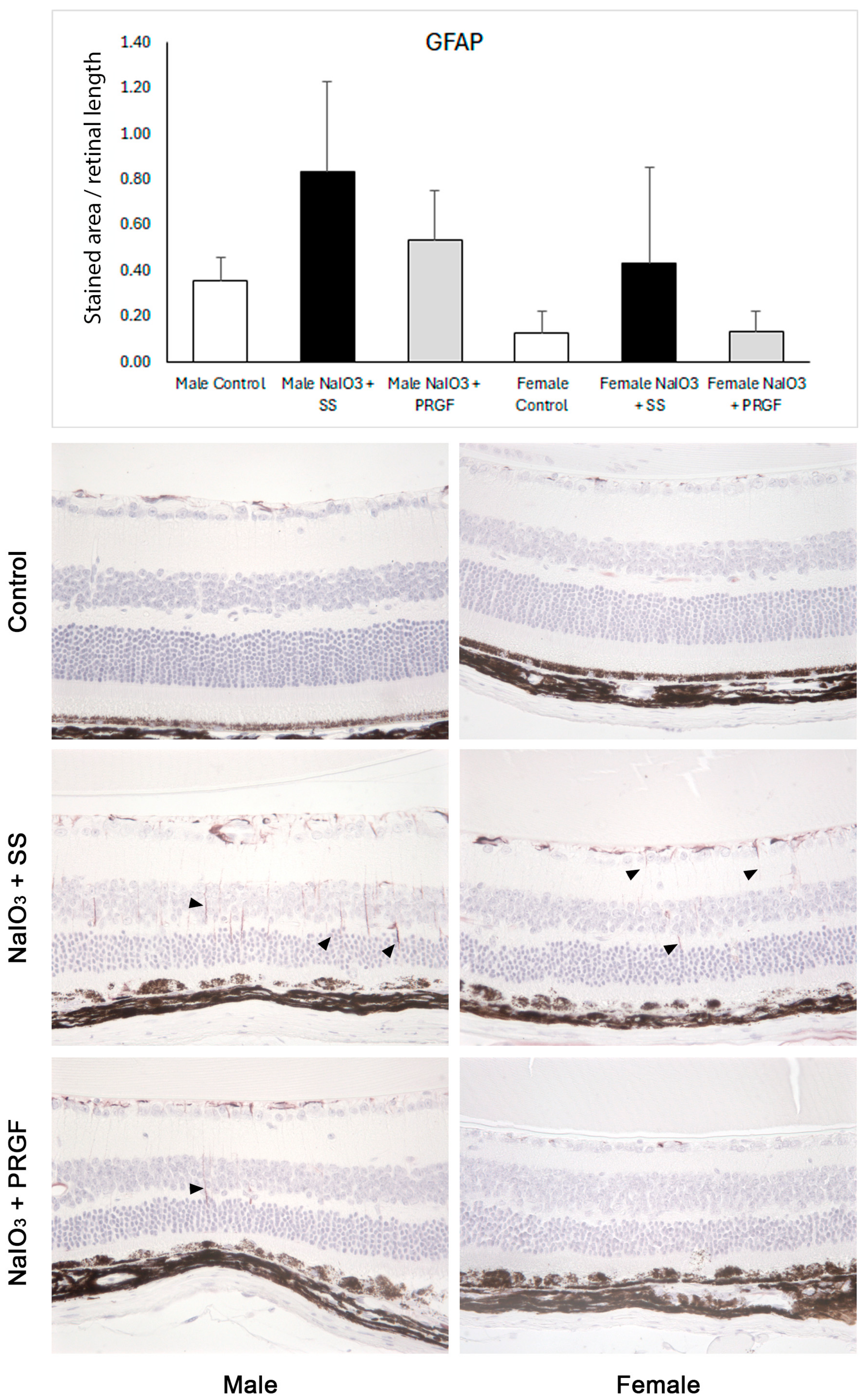 Medicina 60 02036 g003