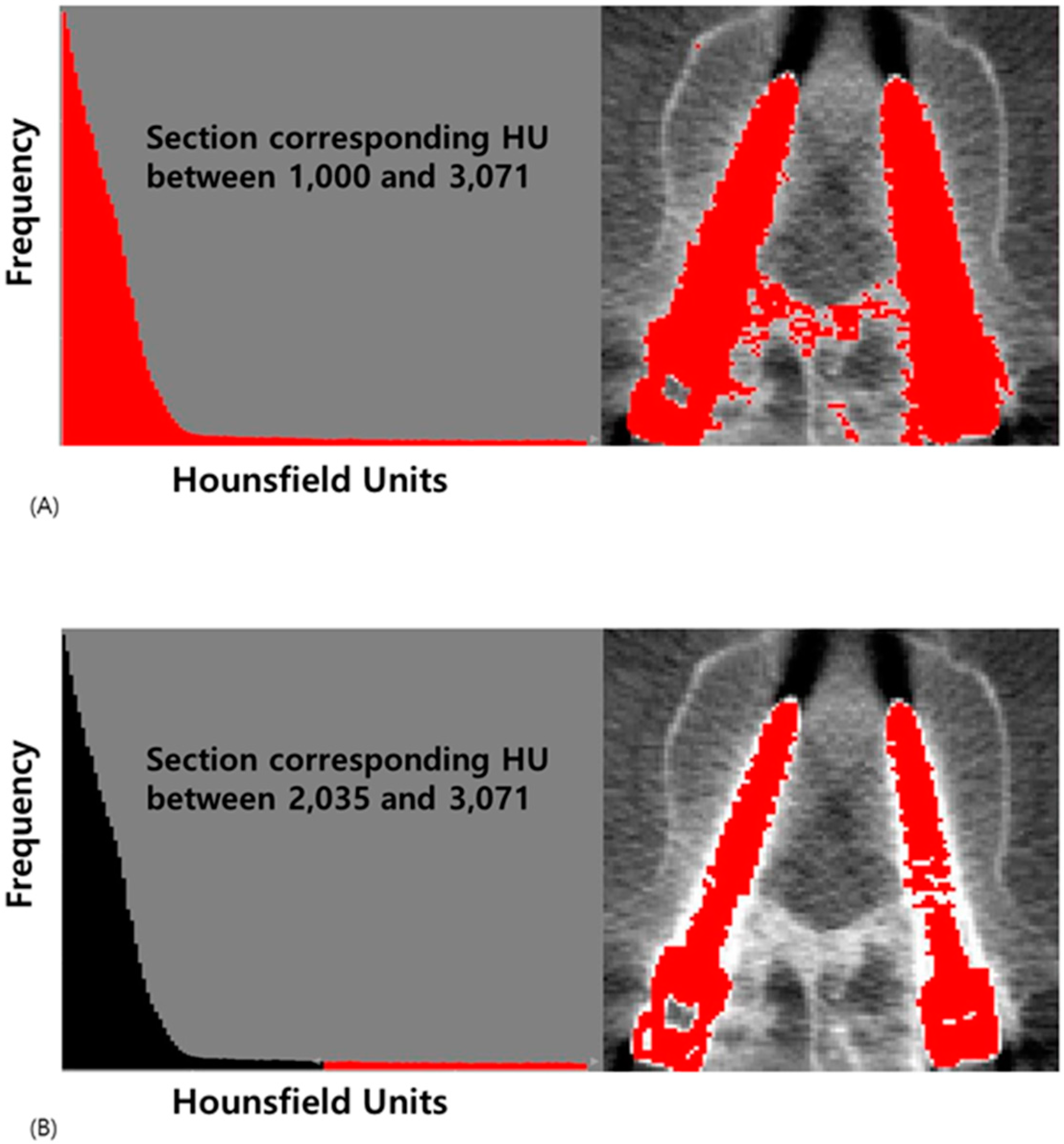 Medicina 60 02040 g002