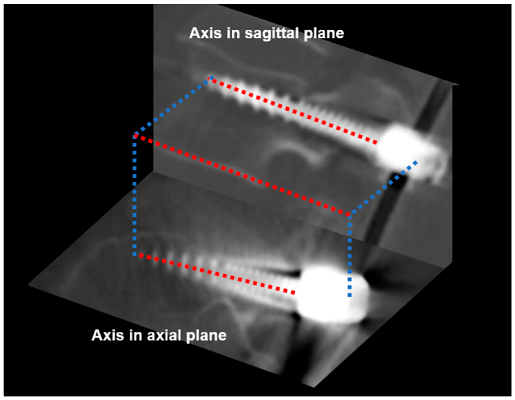 Medicina 60 02040 g003