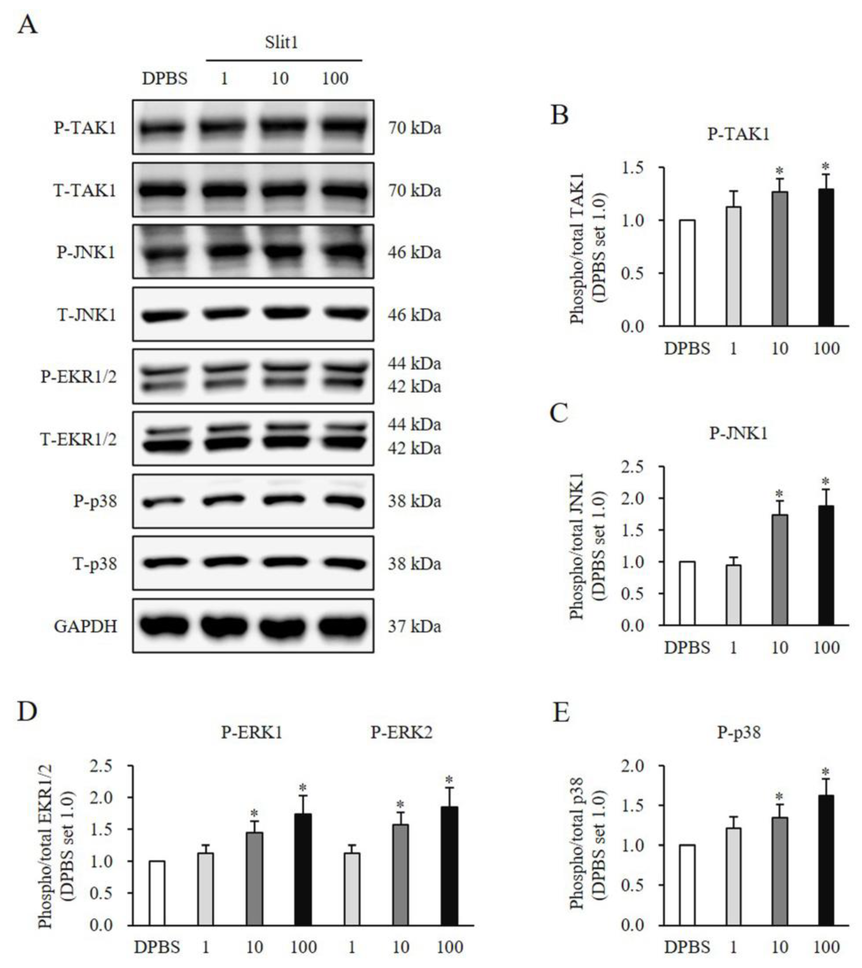 Medicina 60 02051 g006