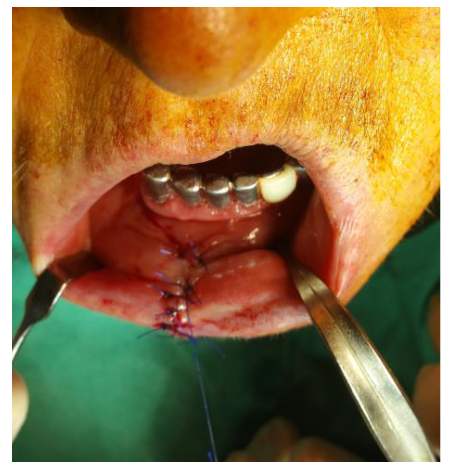 Medicina 61 00004 g013