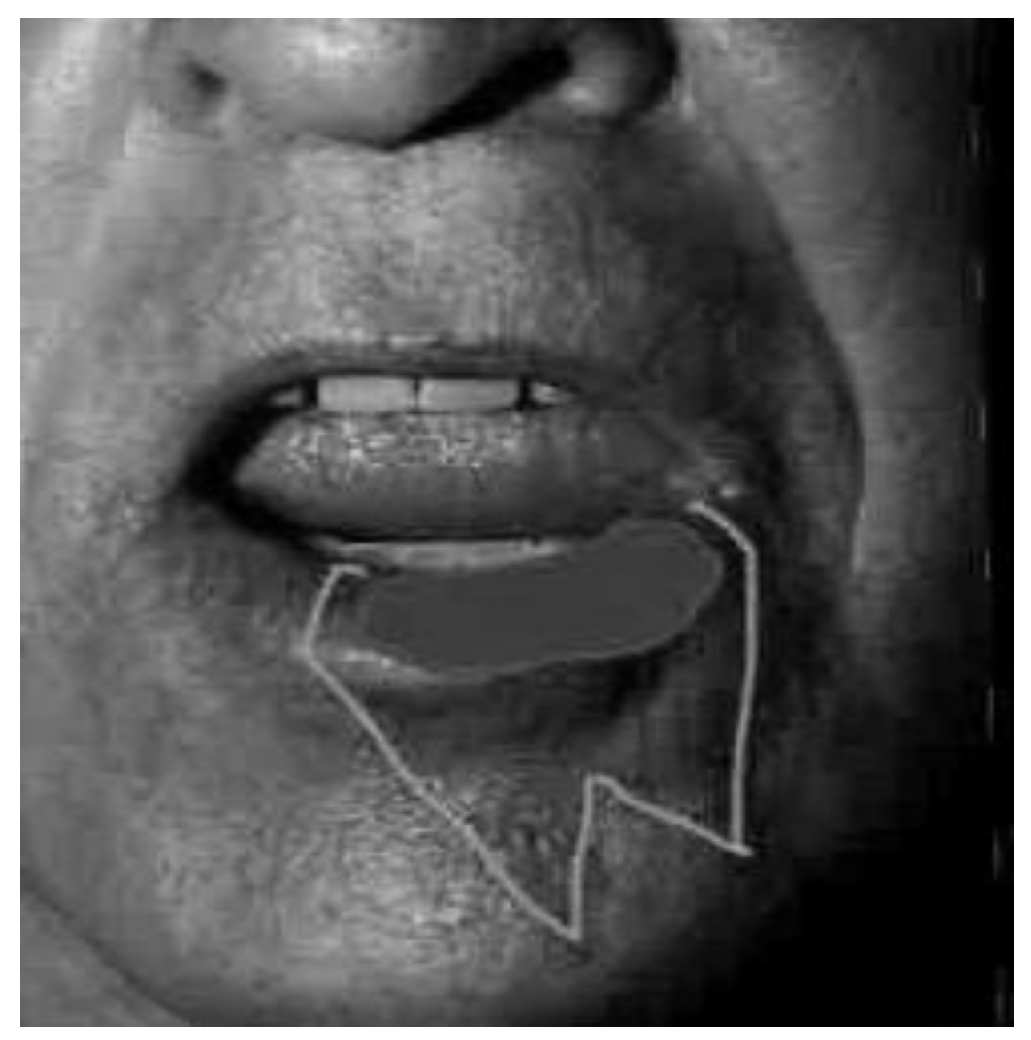 Medicina 61 00004 g016