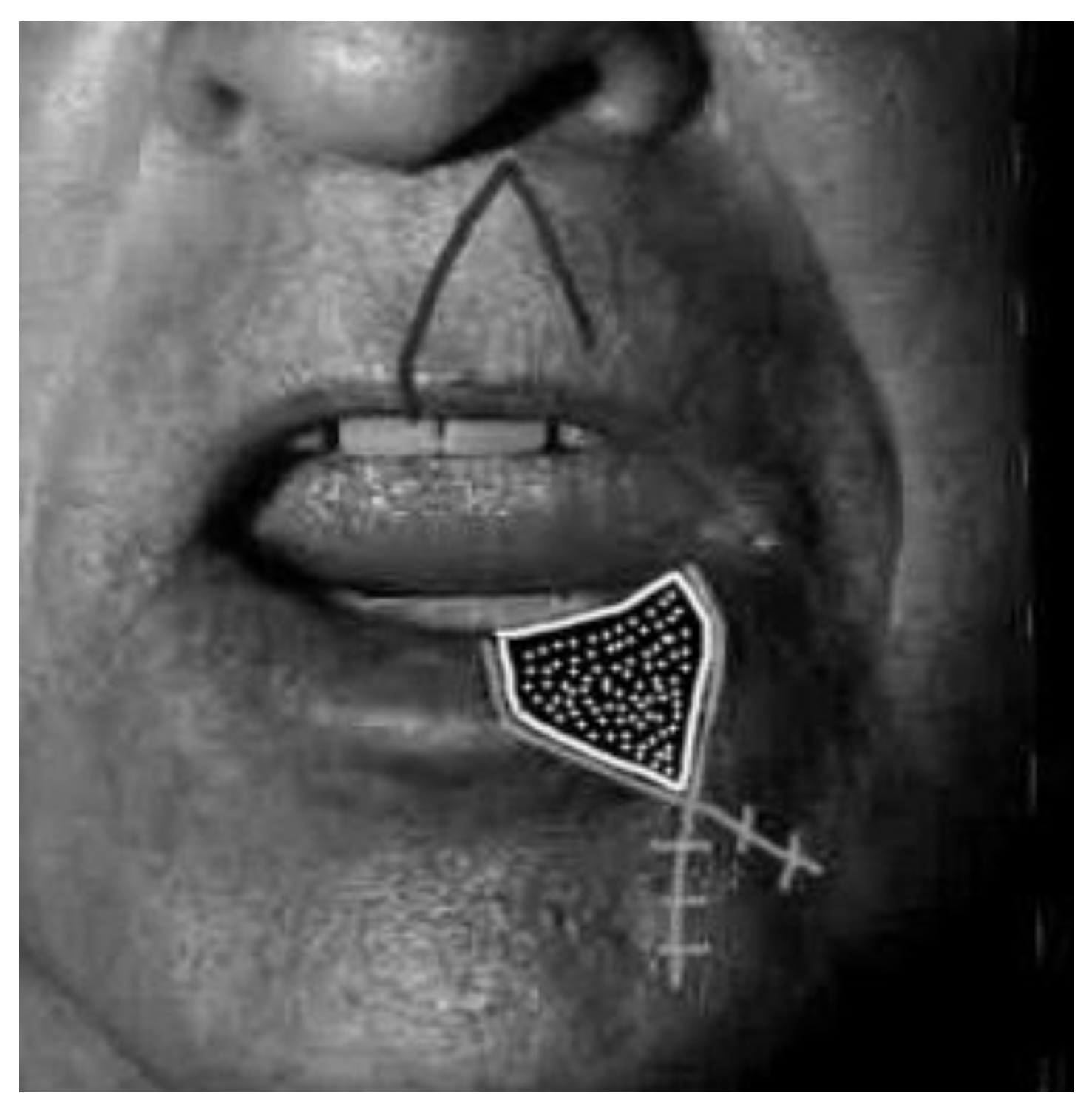 Medicina 61 00004 g017