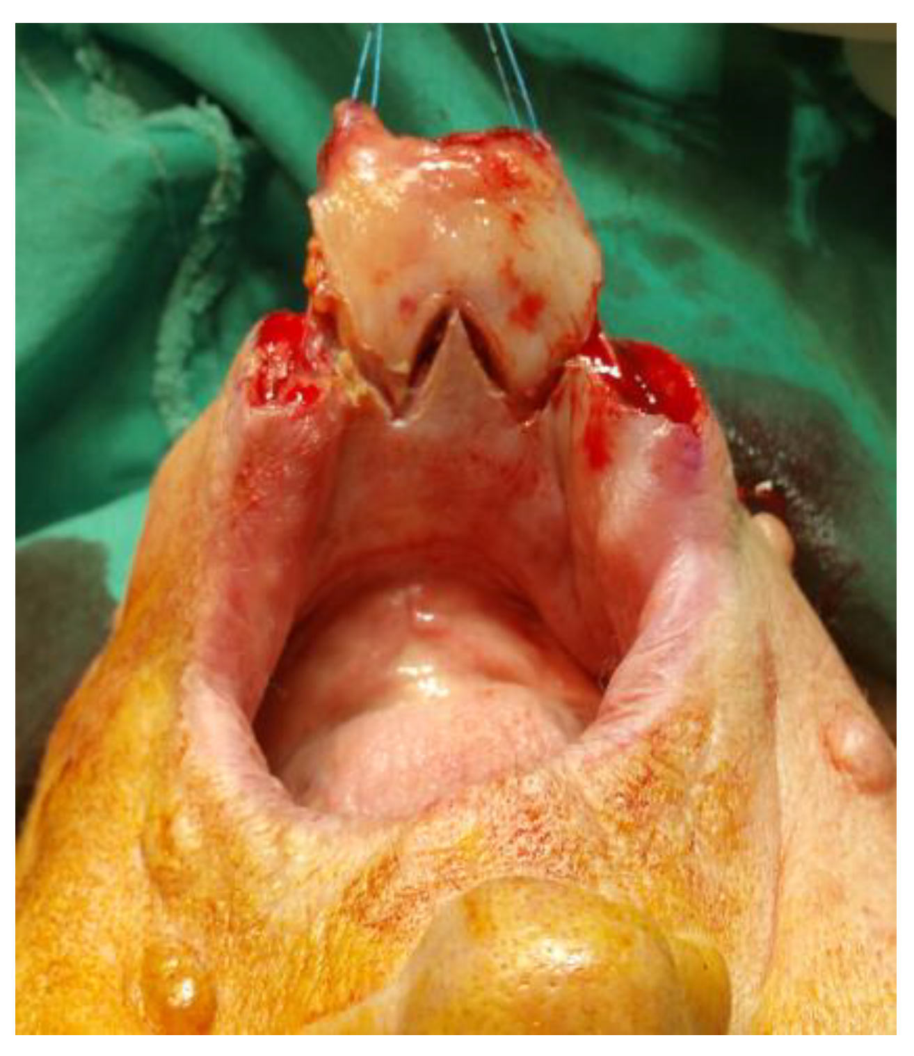 Medicina 61 00004 g022