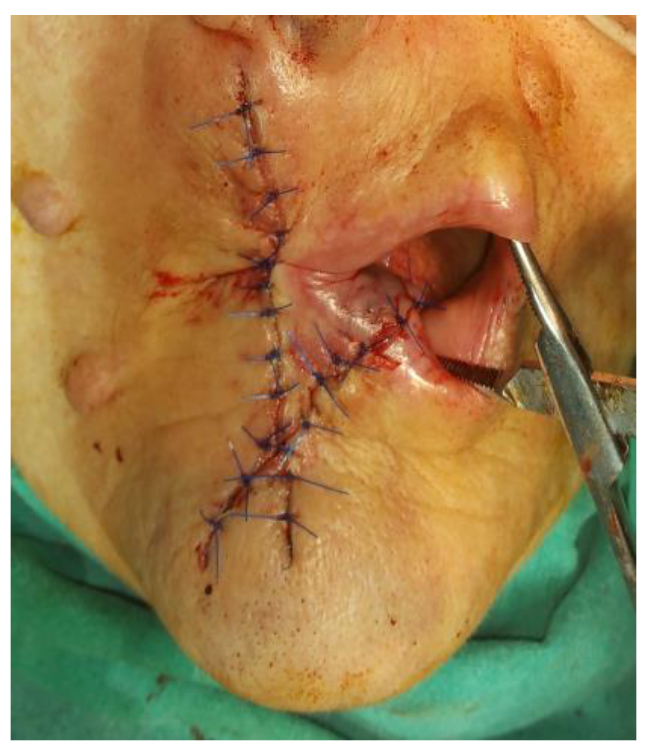 Medicina 61 00004 g030