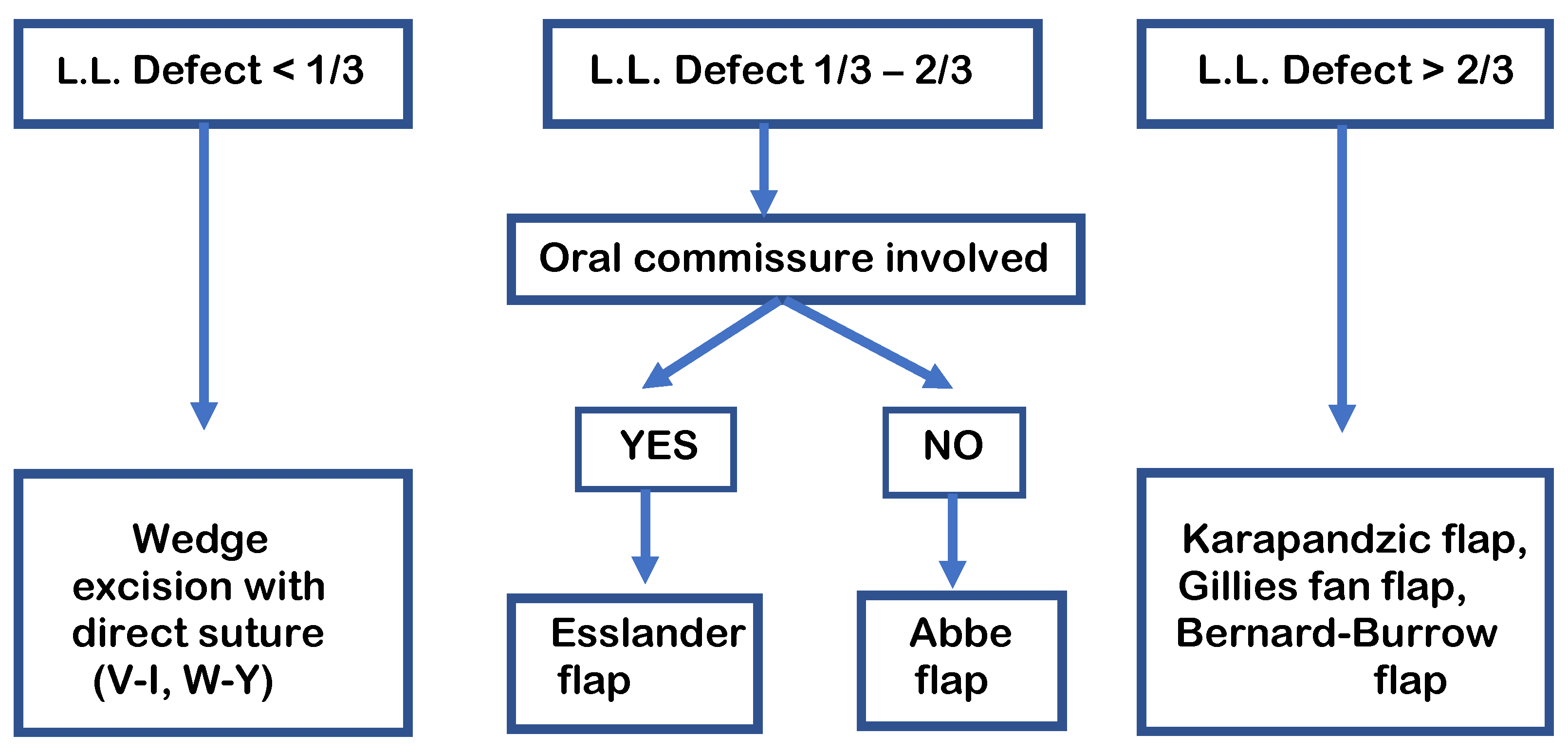 Medicina 61 00004 sch001