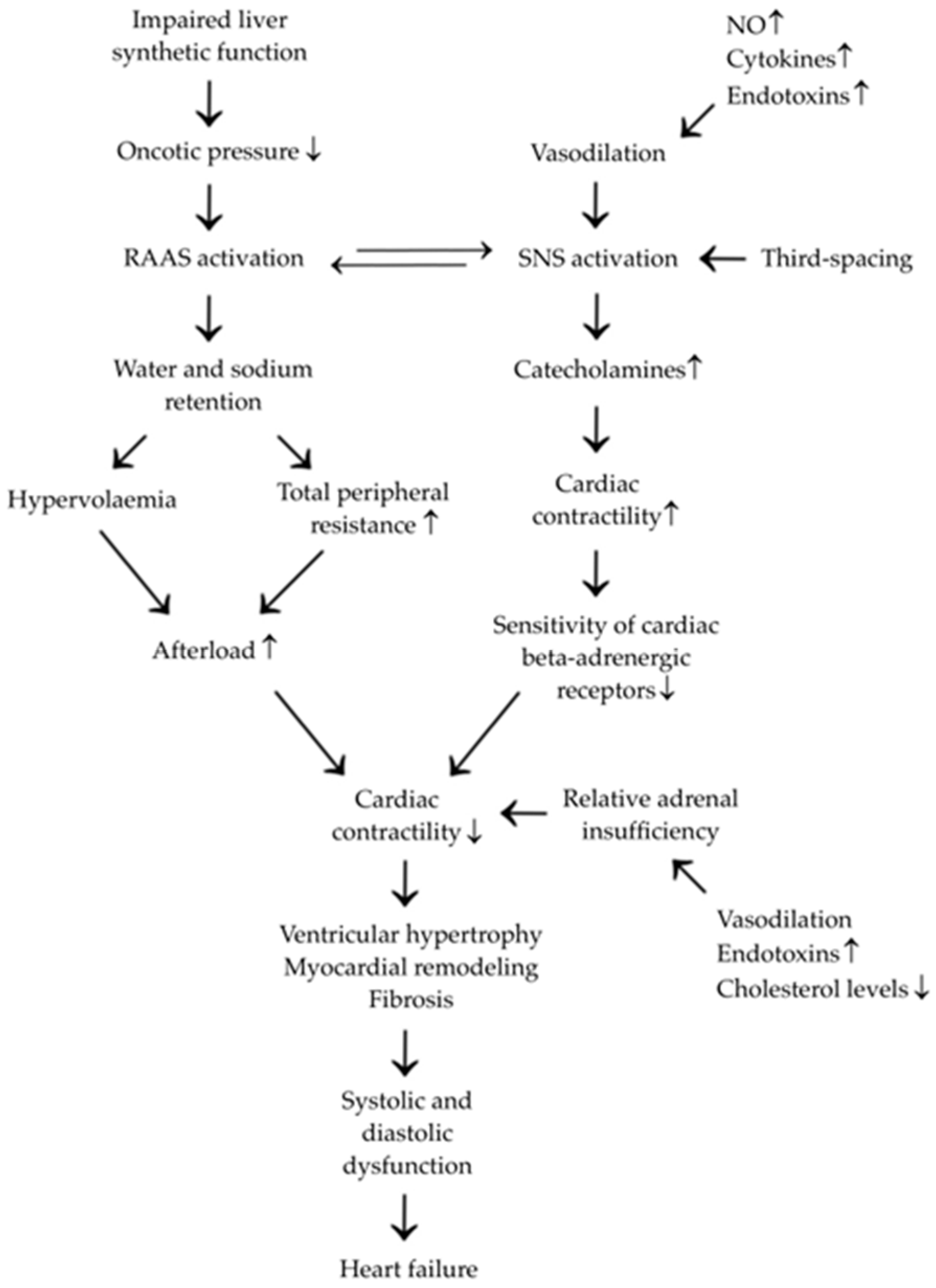 Medicina 61 00046 g001