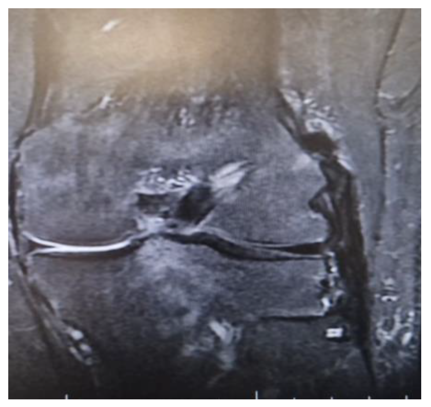 Medicina 61 00053 g002