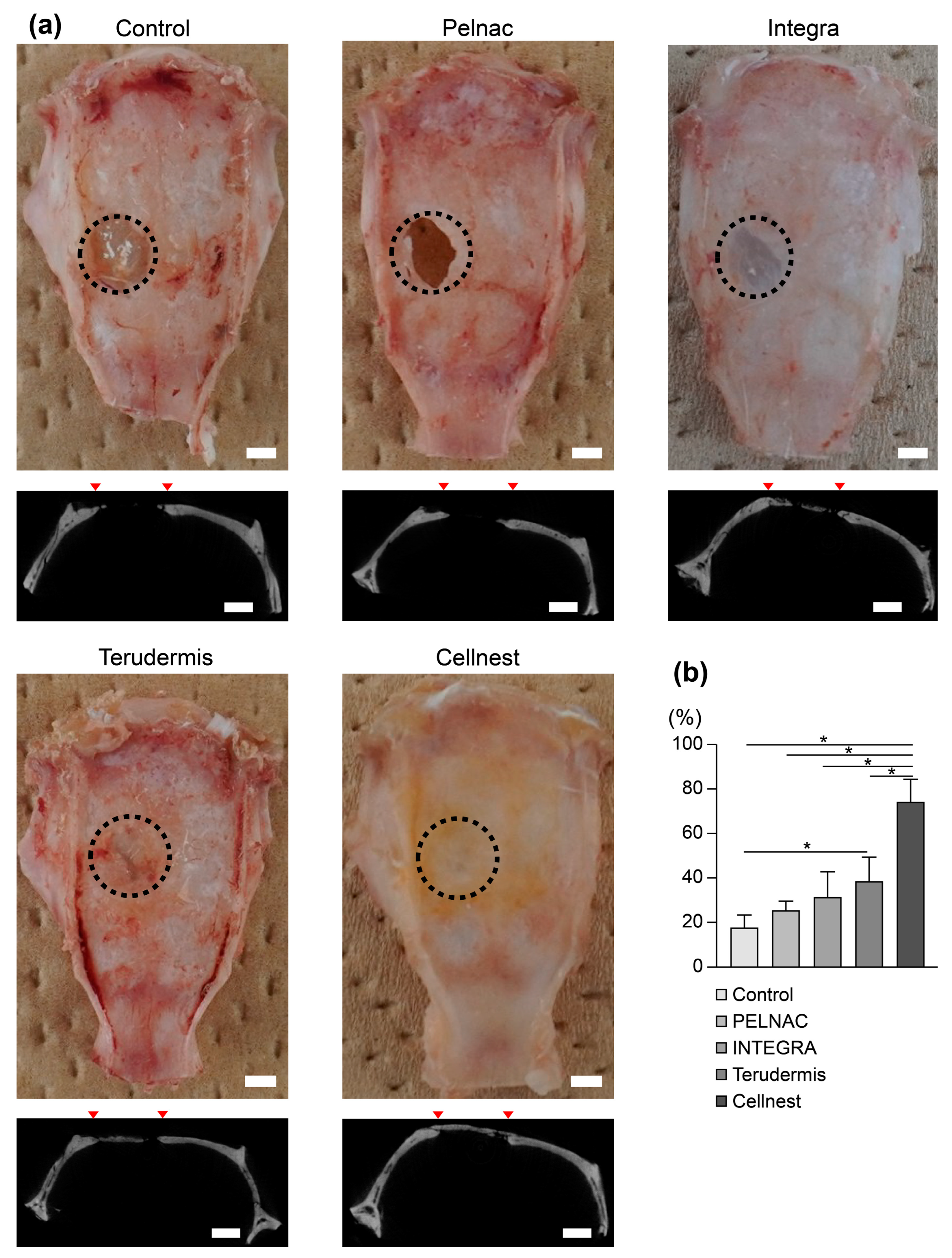 Medicina 61 00057 g002