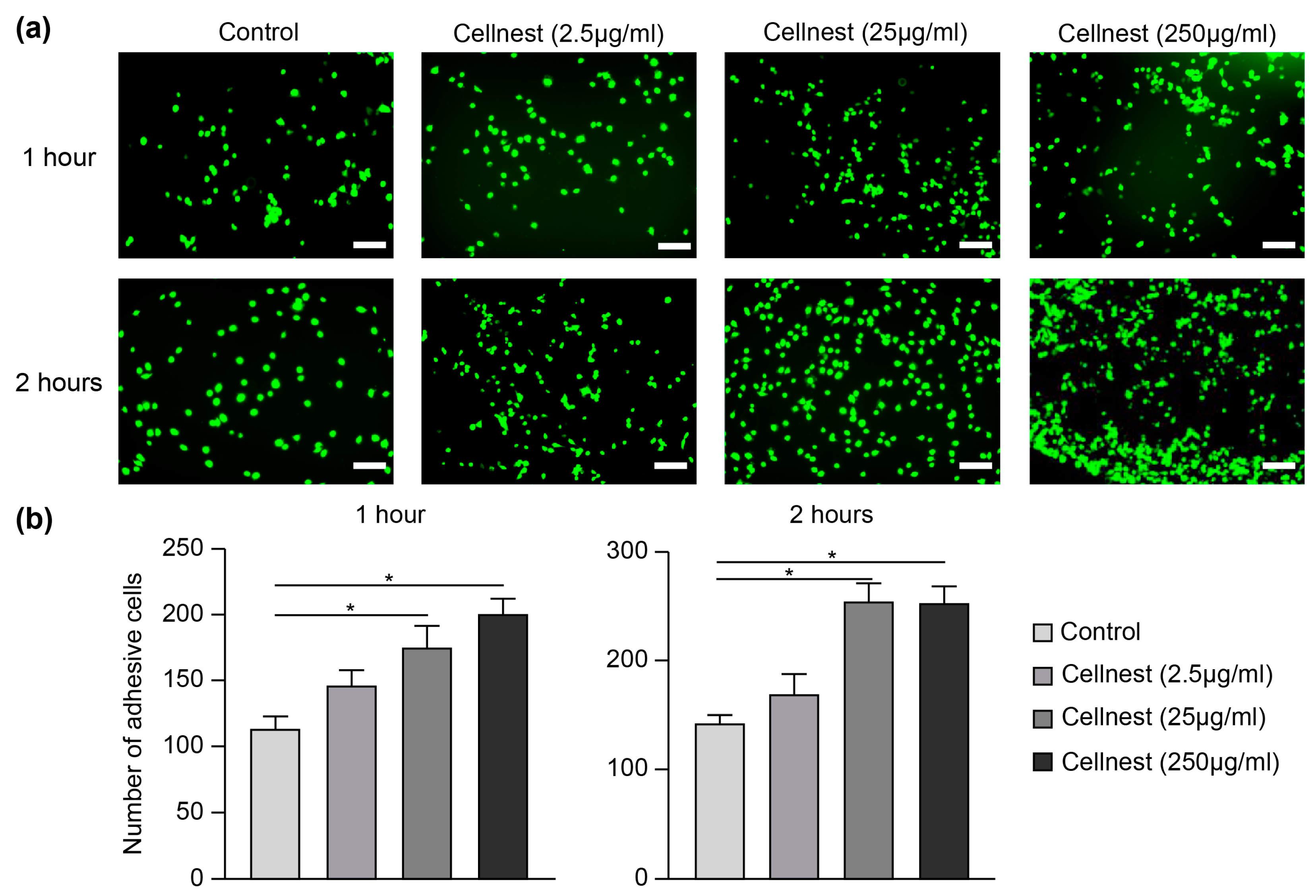 Medicina 61 00057 g005