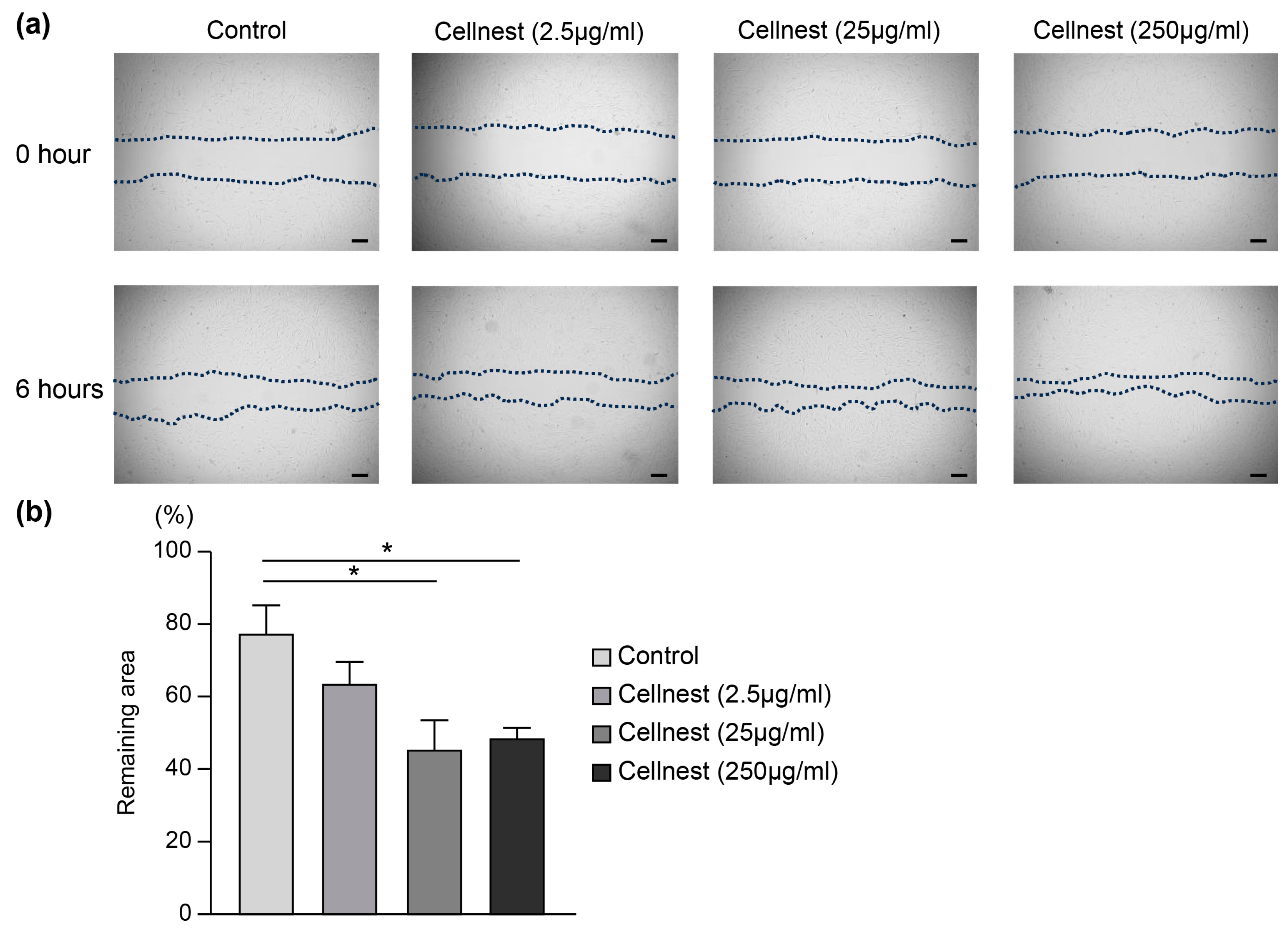 Medicina 61 00057 g006