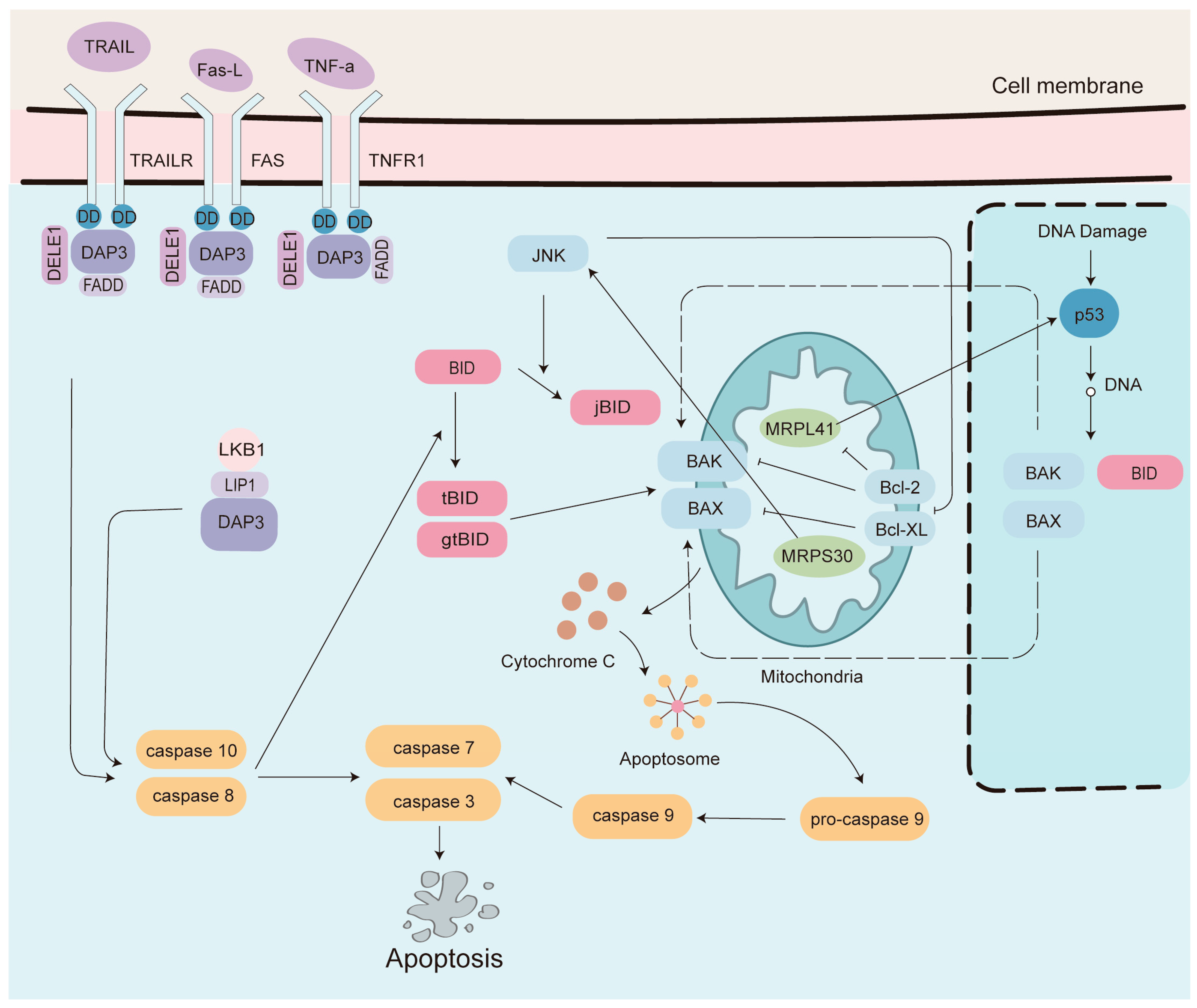Medicina 61 00096 g002 Medicina 61 00096 g002