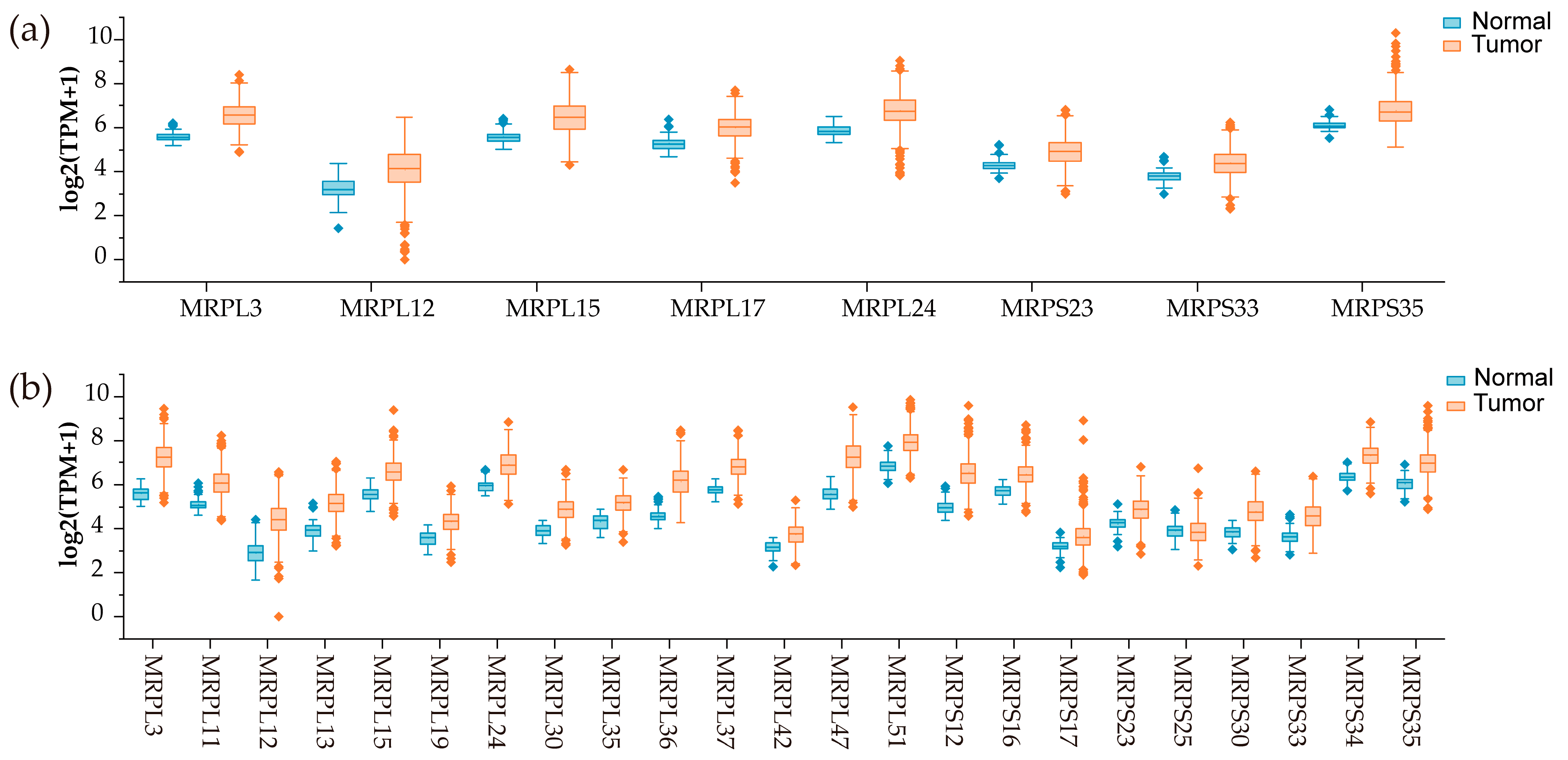 Medicina 61 00096 g003 Medicina 61 00096 g003