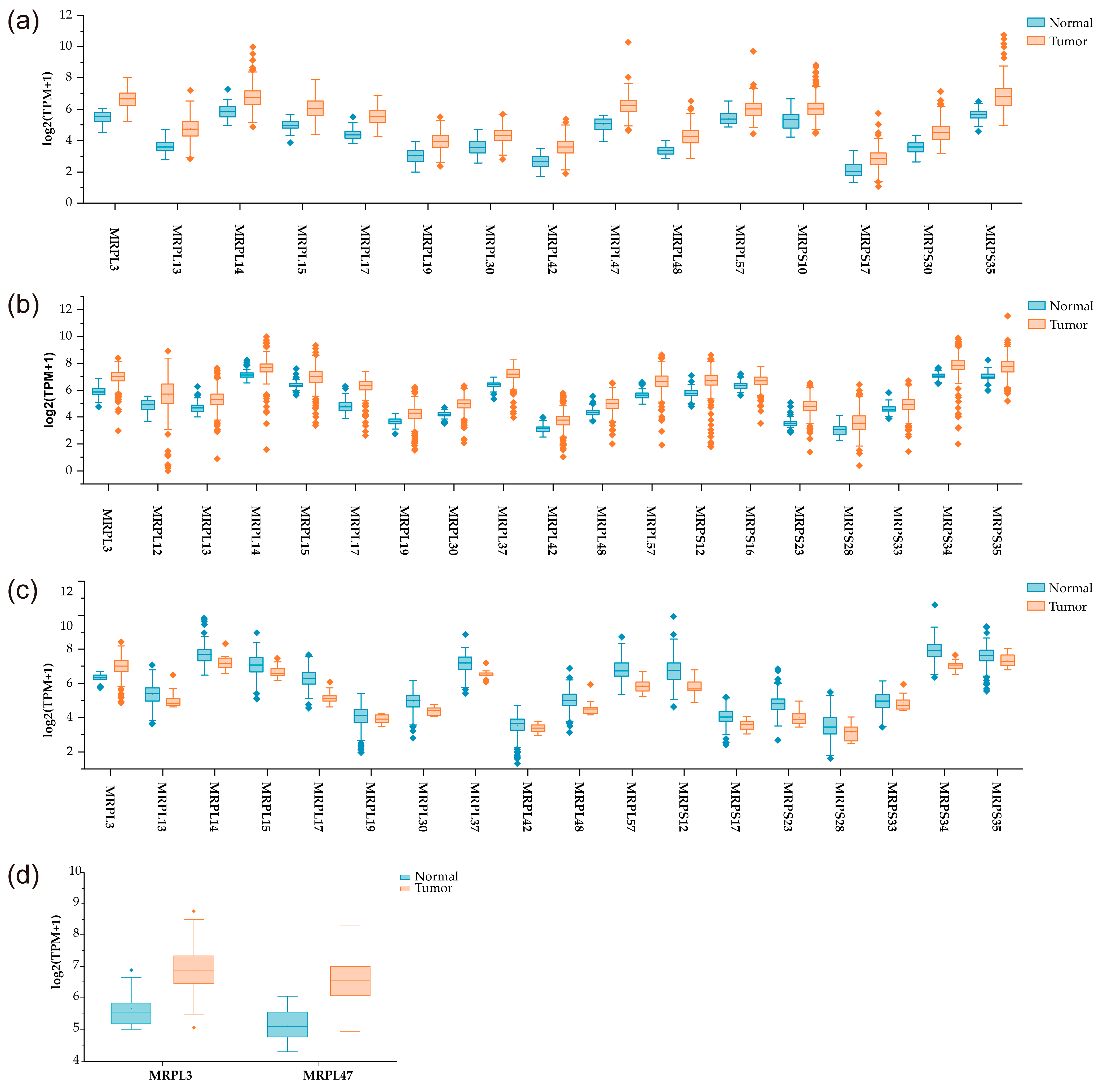 Medicina 61 00096 g004 Medicina 61 00096 g004