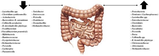 Medicina 61 00109 g001