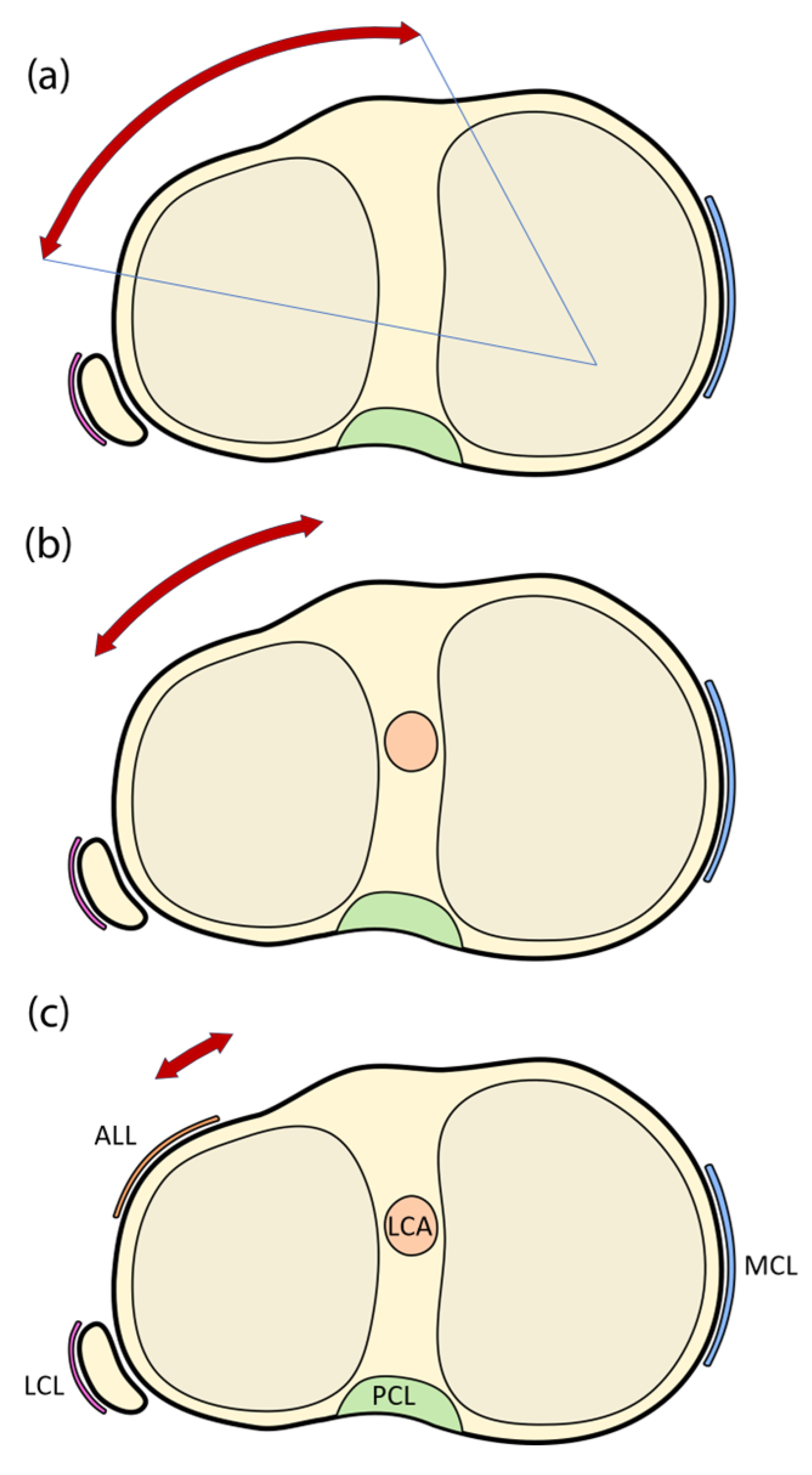 Medicina 61 00116 g001