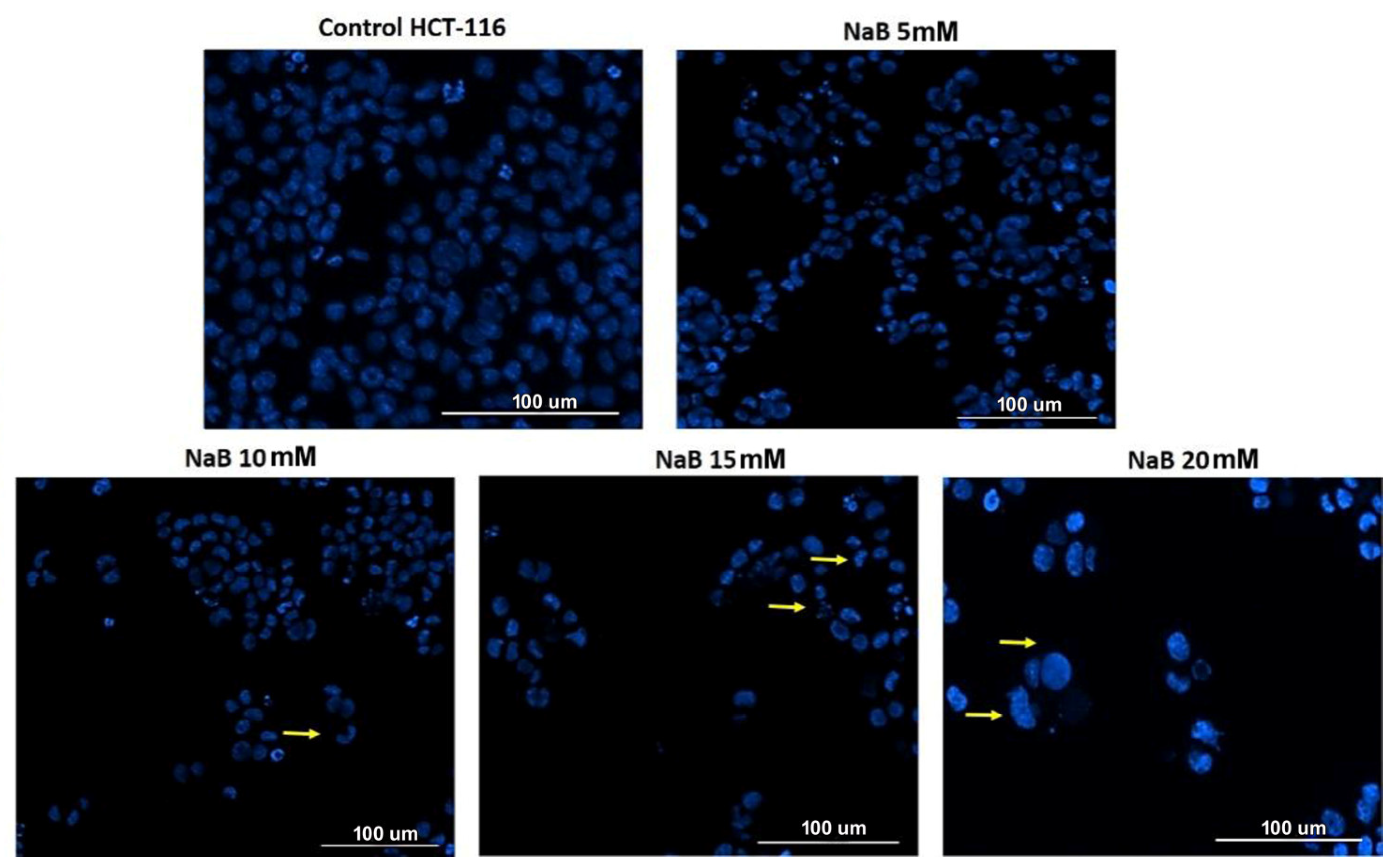 Medicina 61 00136 g004
